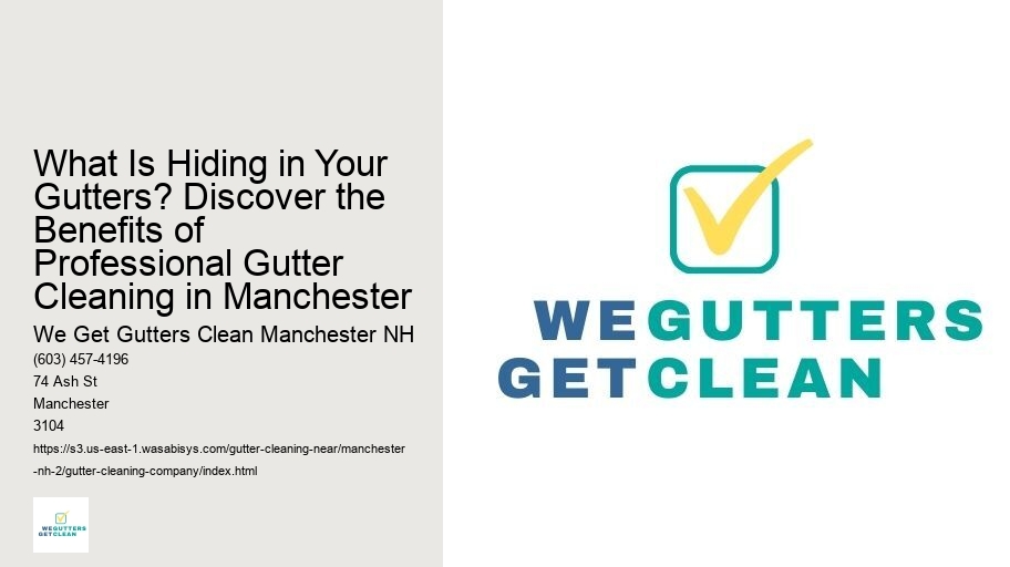 What Is Hiding in Your Gutters? Discover the Benefits of Professional Gutter Cleaning in Manchester