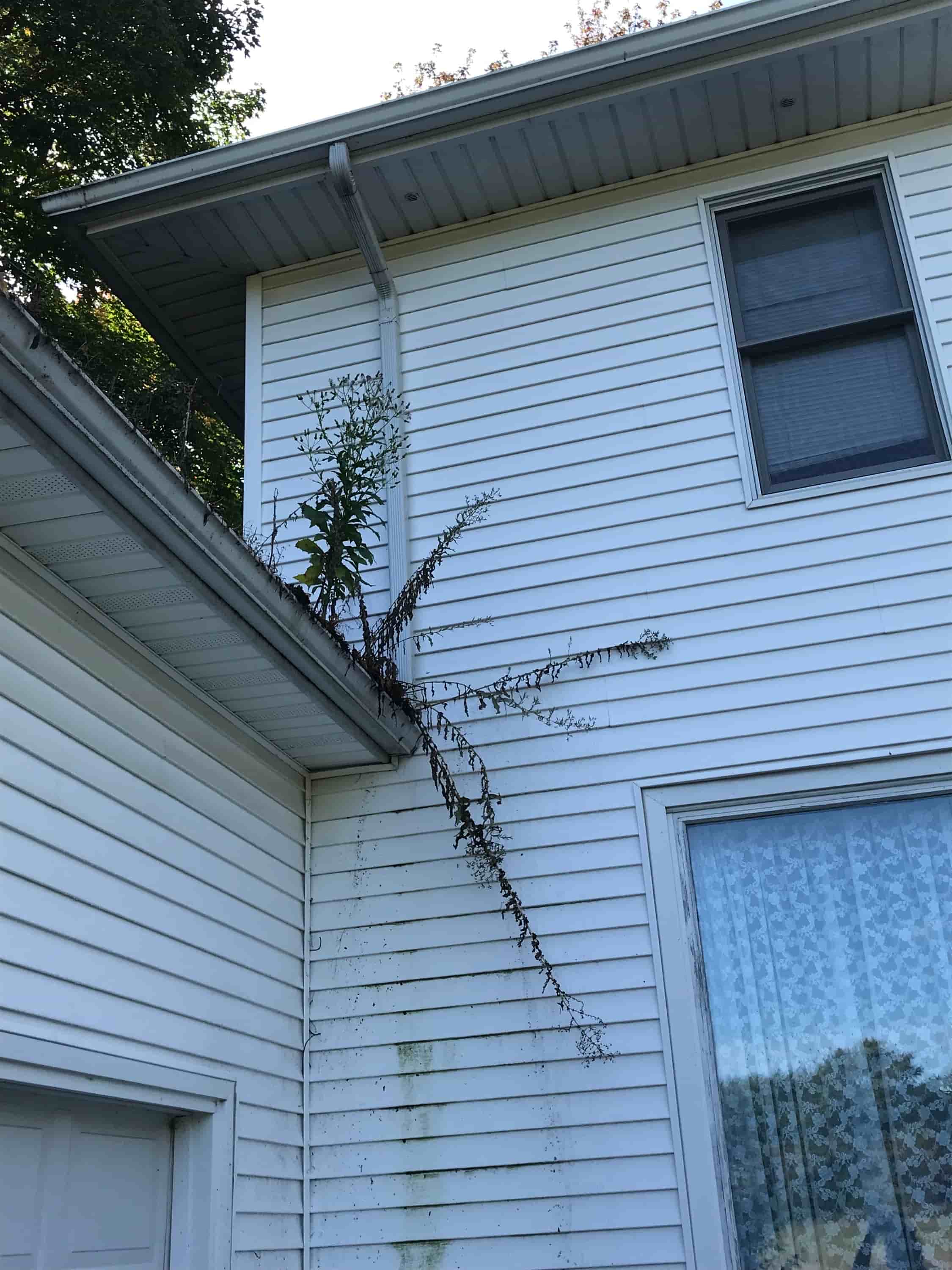 leaf blower to clean gutters
