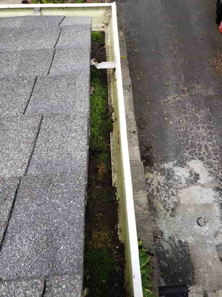 pipe cleaner gutter guard