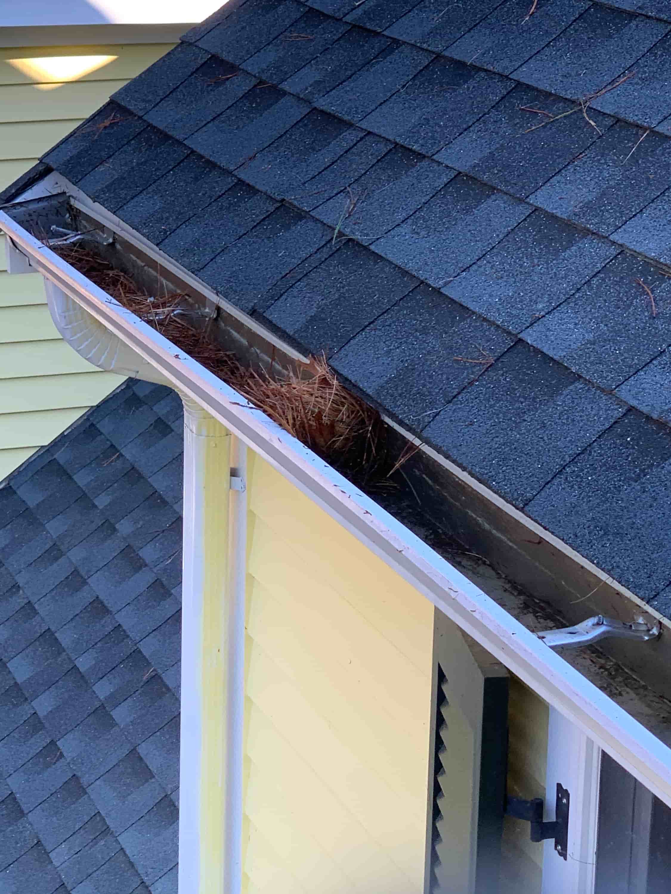 need my gutters cleaned