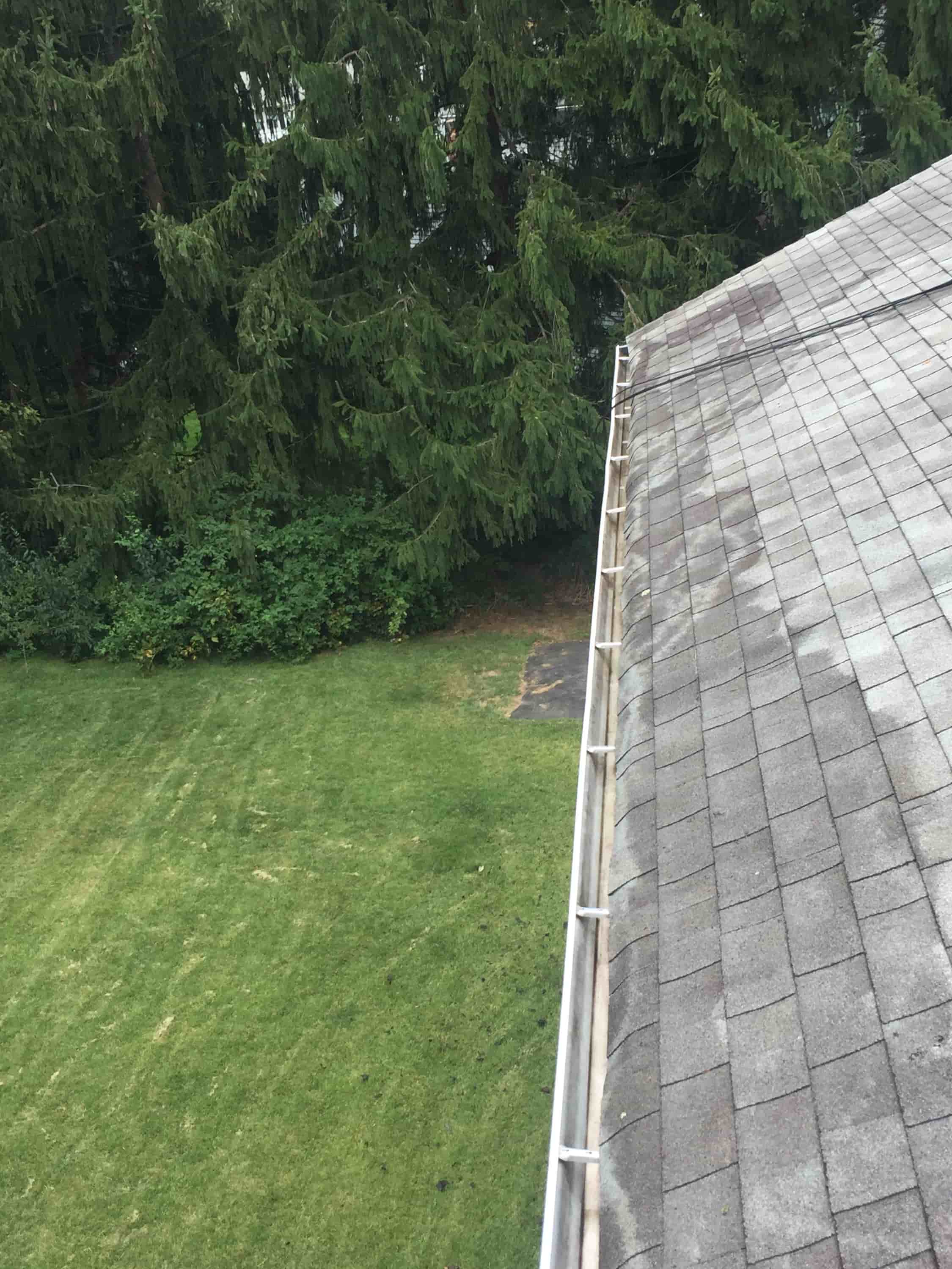 house gutter cleaners near me