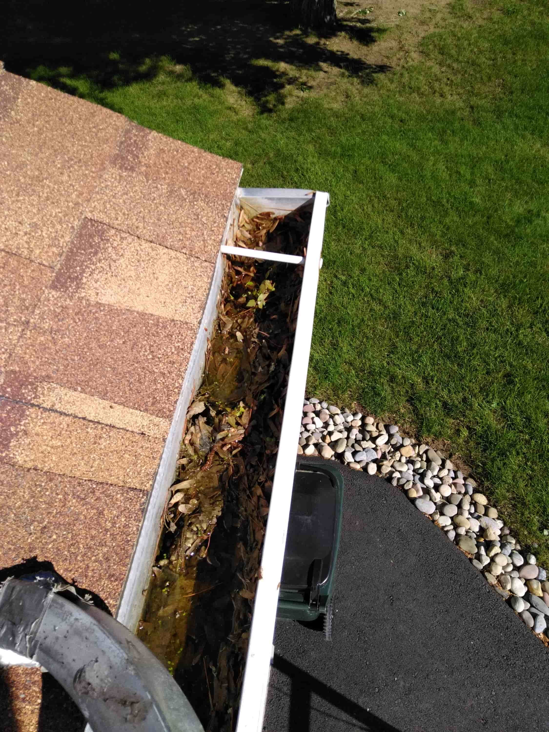 when to clean the gutters