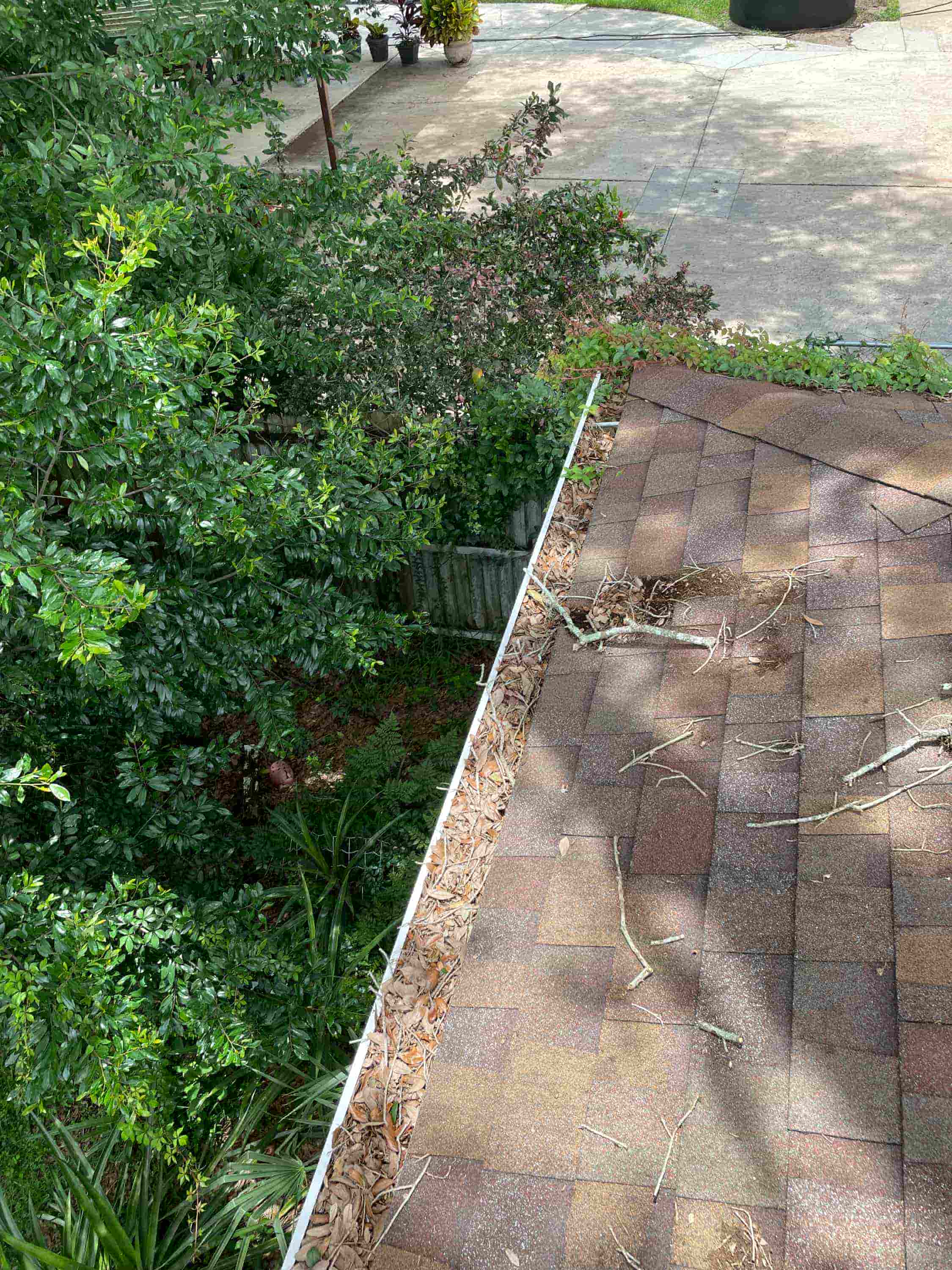 pro gutter cleaning reviews