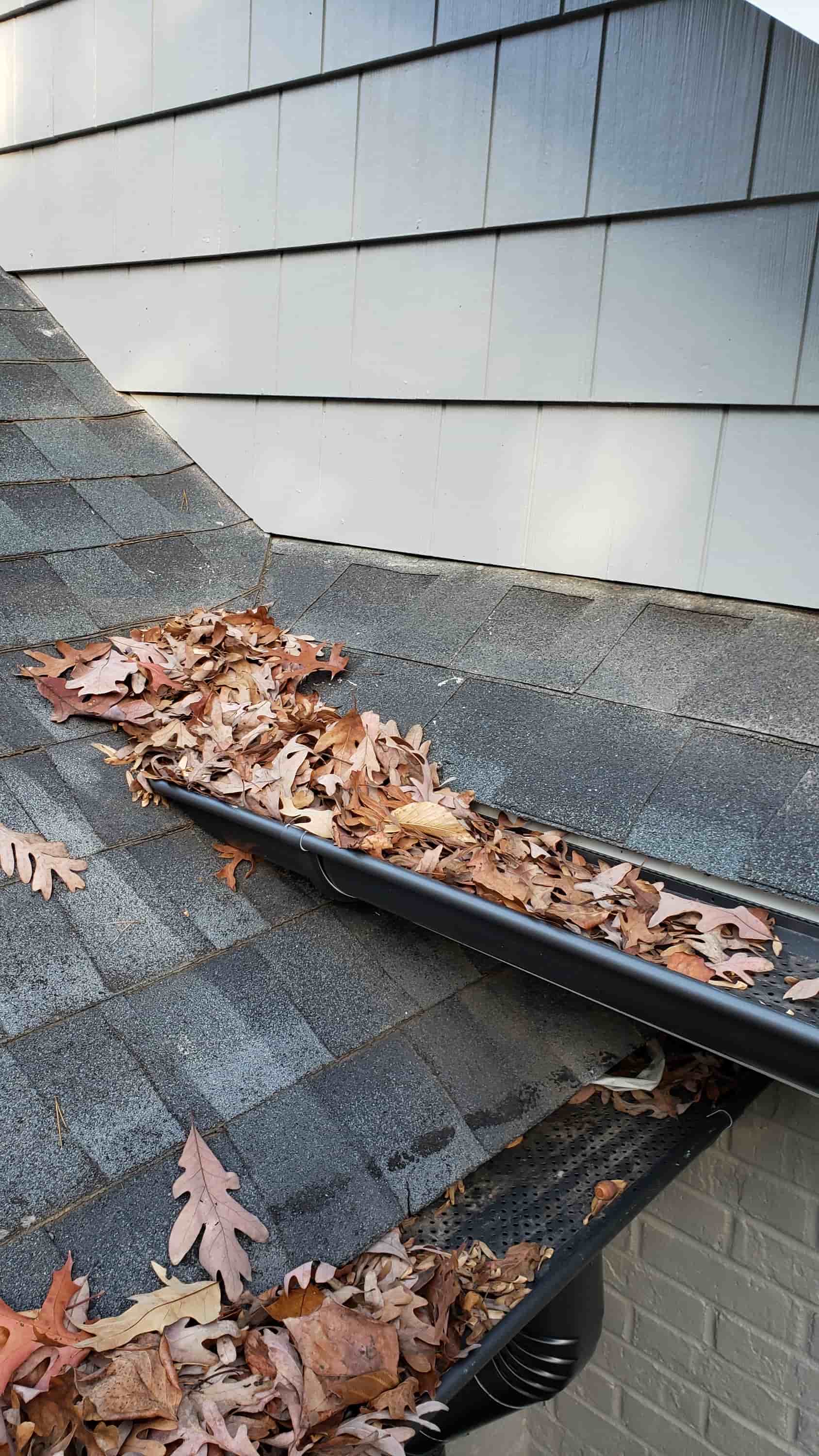 gutter to hose adapter