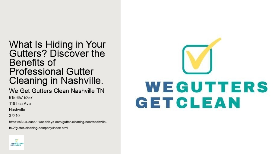 What Is Hiding in Your Gutters? Discover the Benefits of Professional Gutter Cleaning in Nashville.