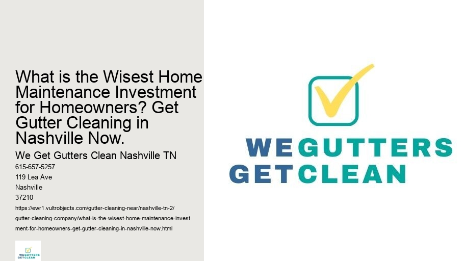 What is the Wisest Home Maintenance Investment for Homeowners? Get Gutter Cleaning in Nashville Now.