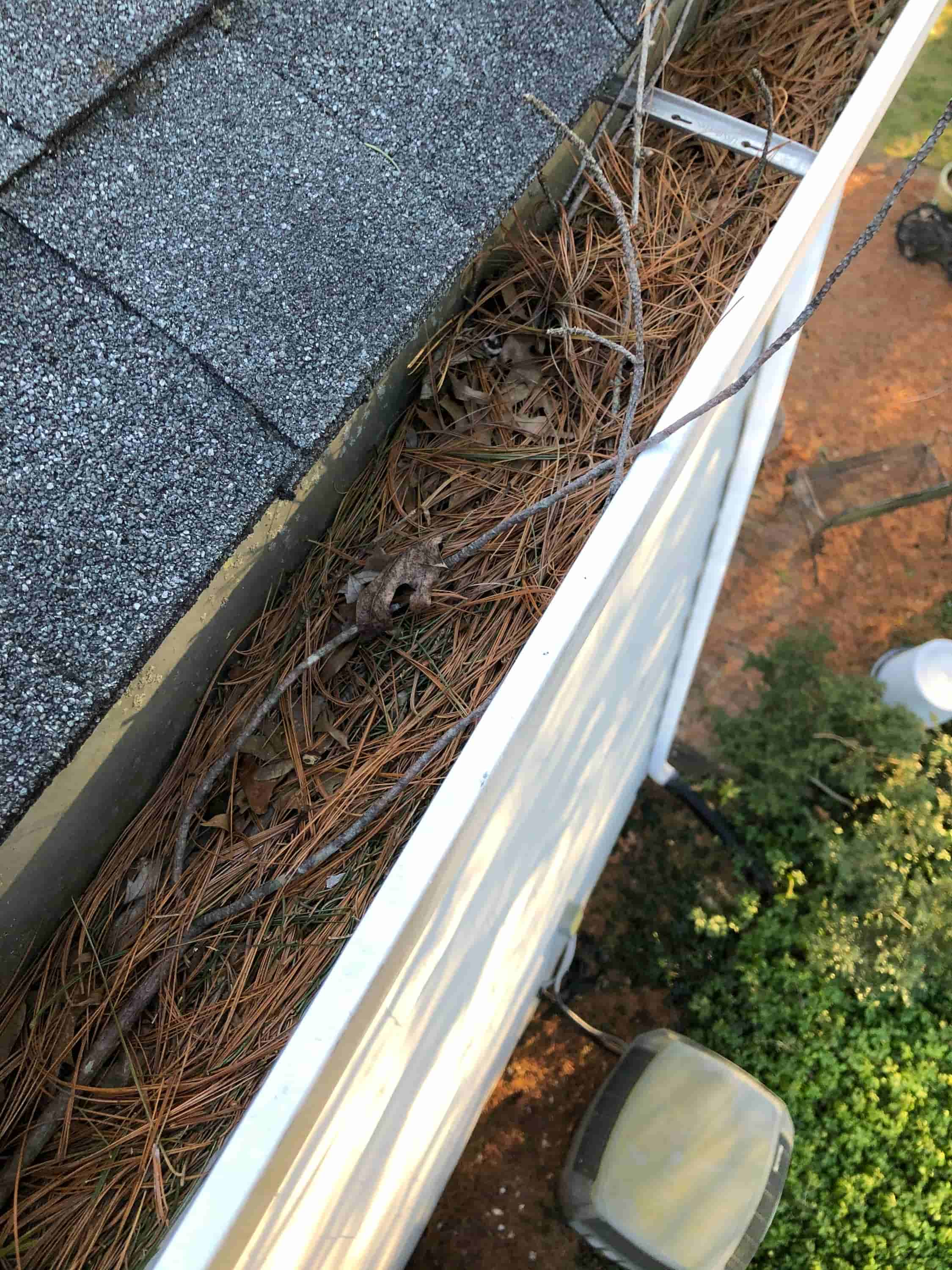 how much to clean gutters