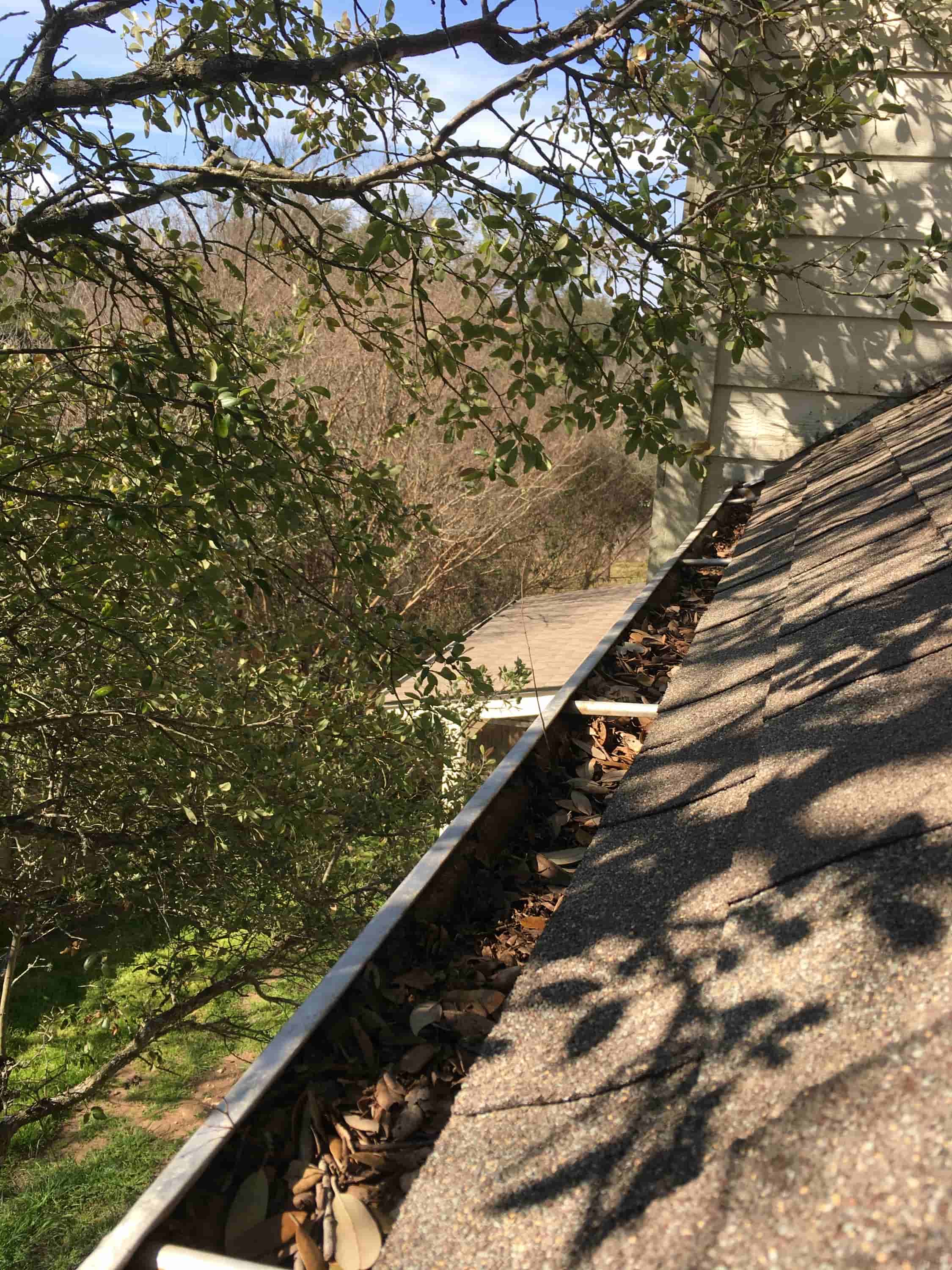 gutter cleaning pro
