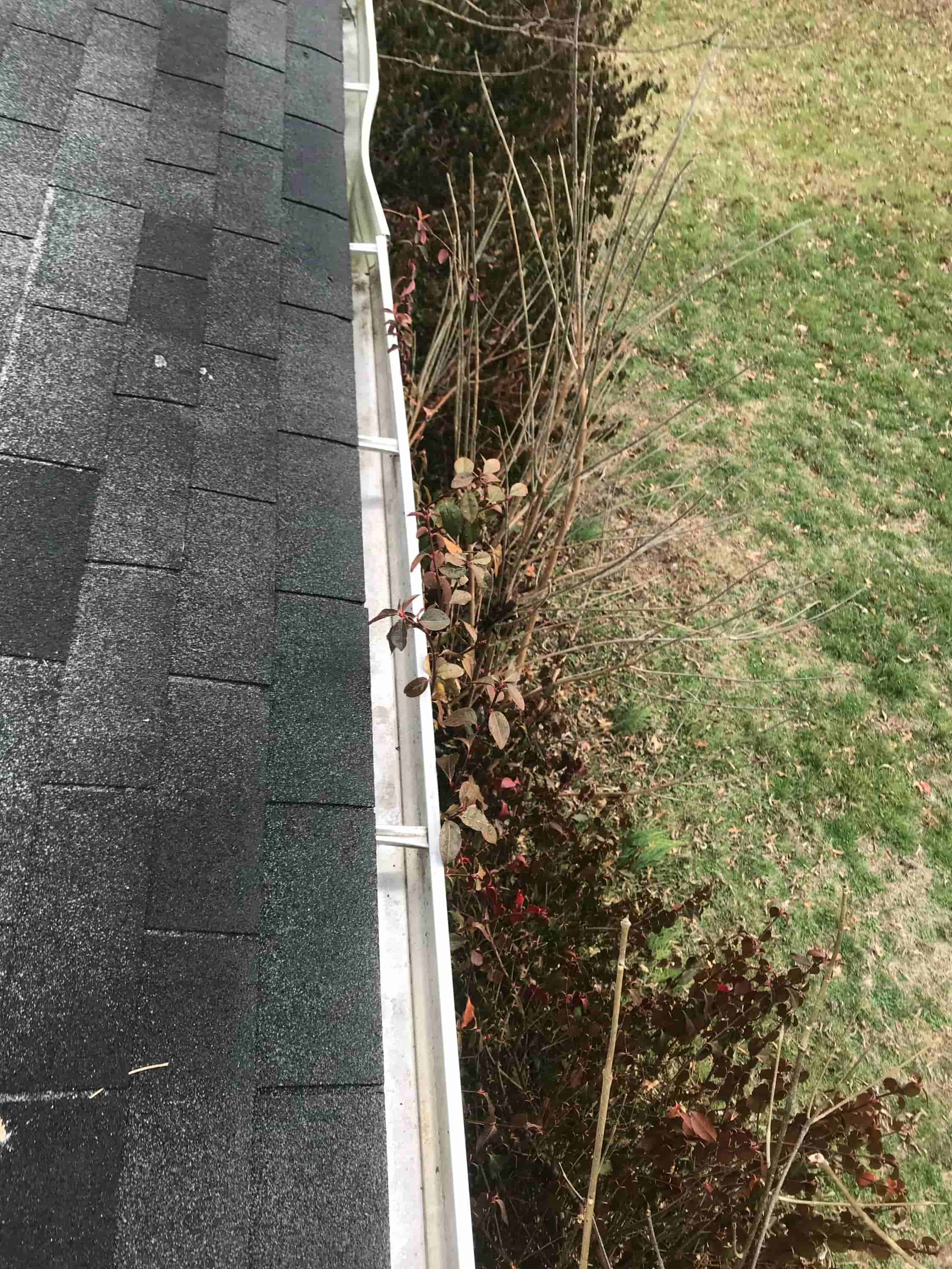 gutters cleaning service