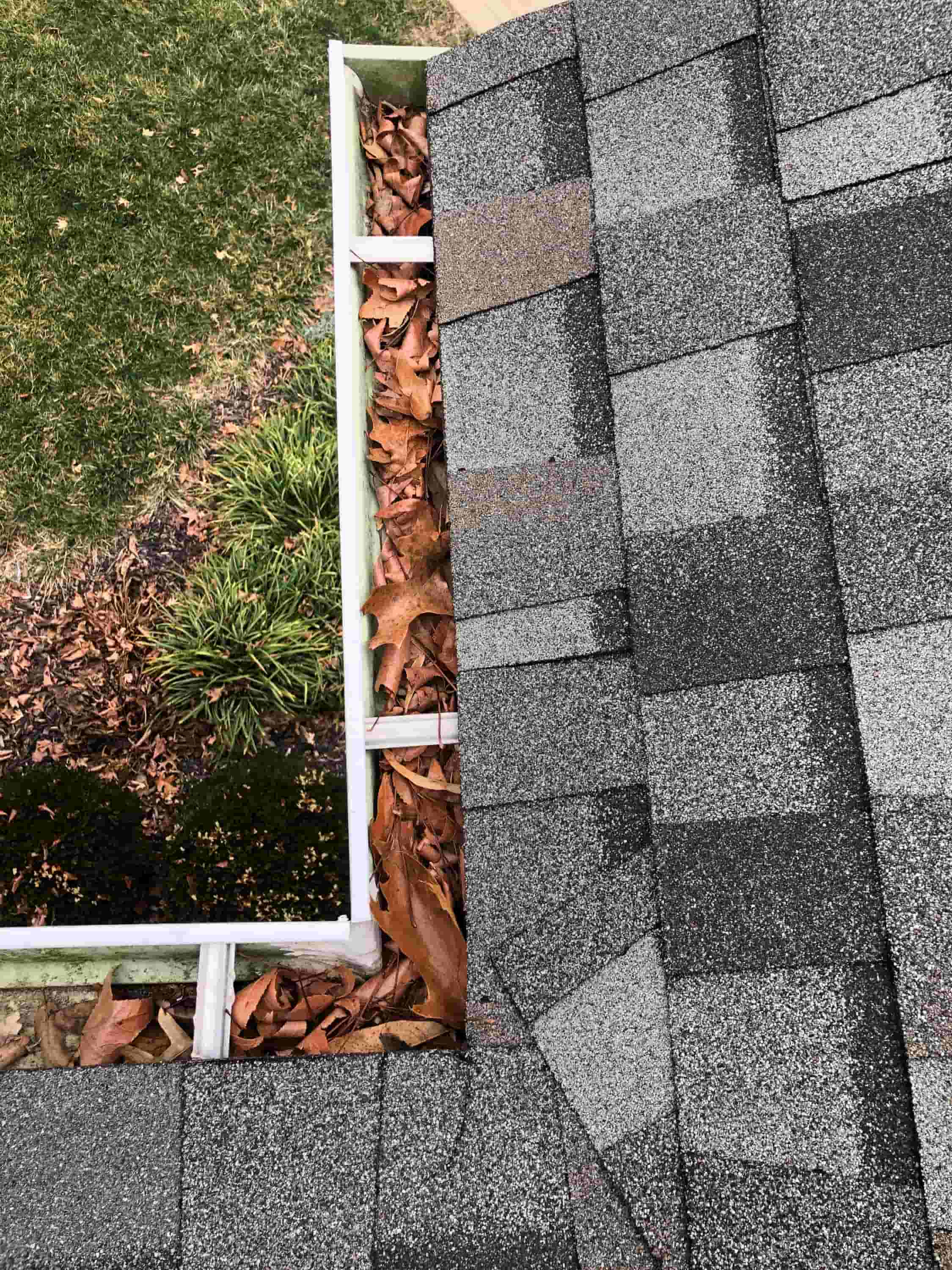 the gutter guys