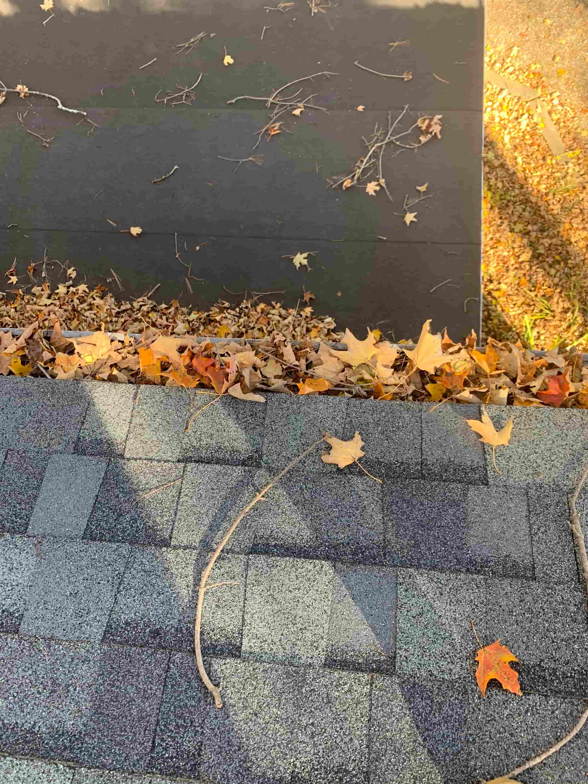 gutters cleaning