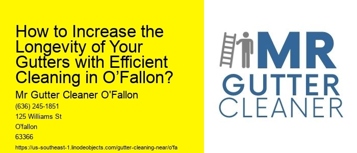 How to Increase the Longevity of Your Gutters with Efficient Cleaning in O’Fallon?