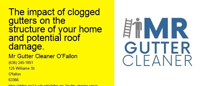 The impact of clogged gutters on the structure of your home and potential roof damage.