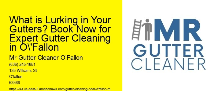What is Lurking in Your Gutters? Book Now for Expert Gutter Cleaning in O'Fallon