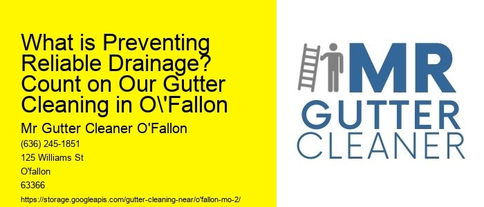 What is Preventing Reliable Drainage? Count on Our Gutter Cleaning in O'Fallon