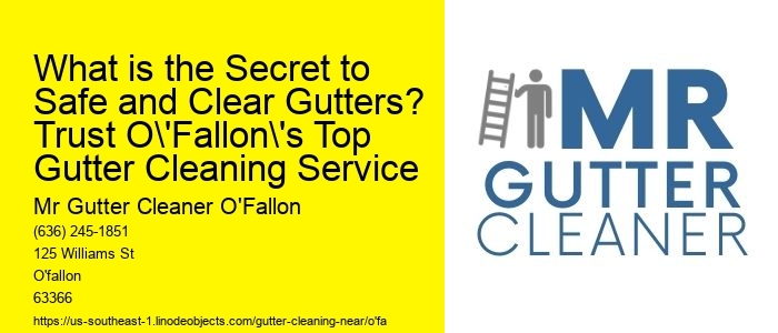 What is the Secret to Safe and Clear Gutters? Trust O'Fallon's Top Gutter Cleaning Service