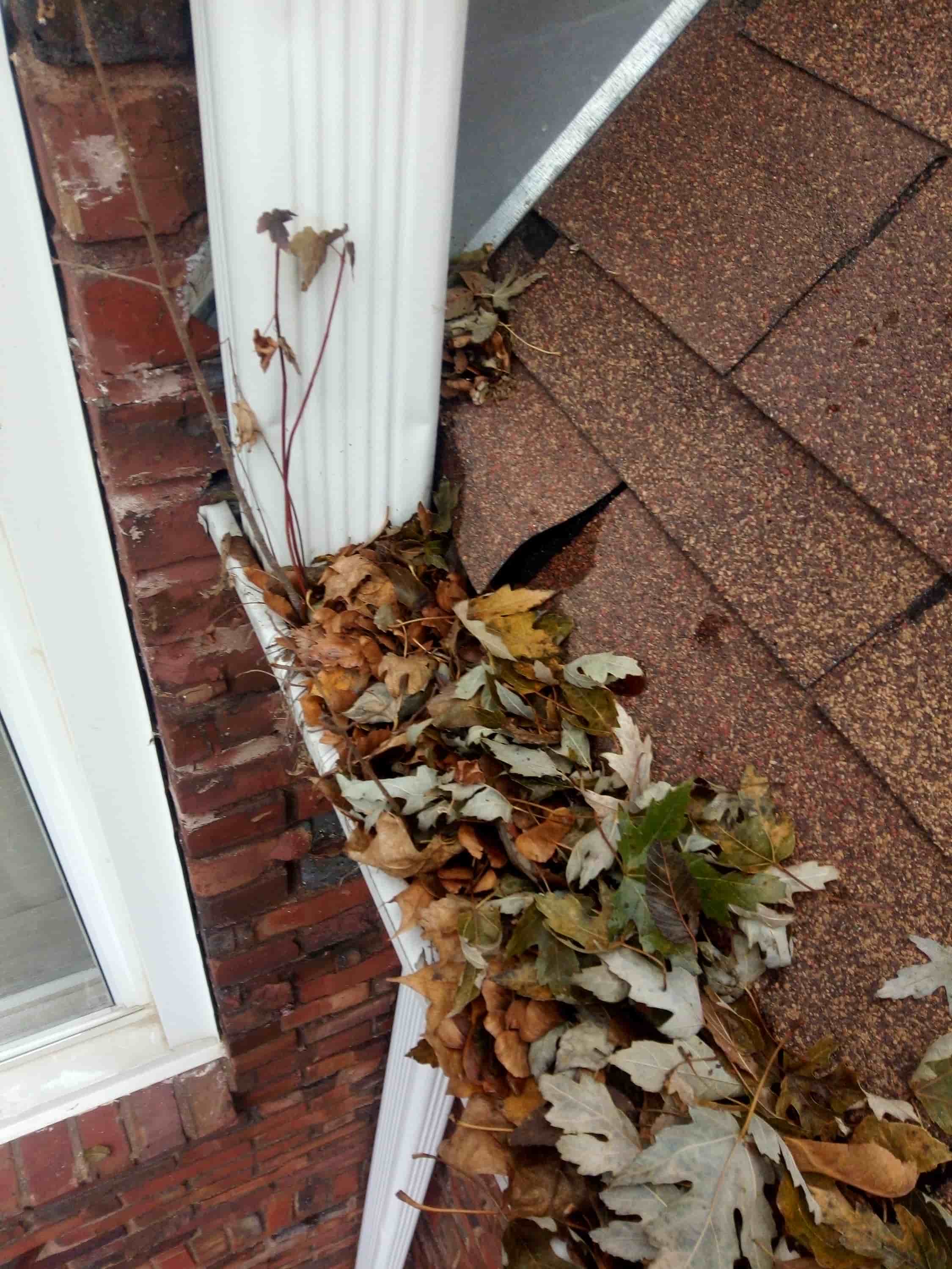 leaves in gutters problems