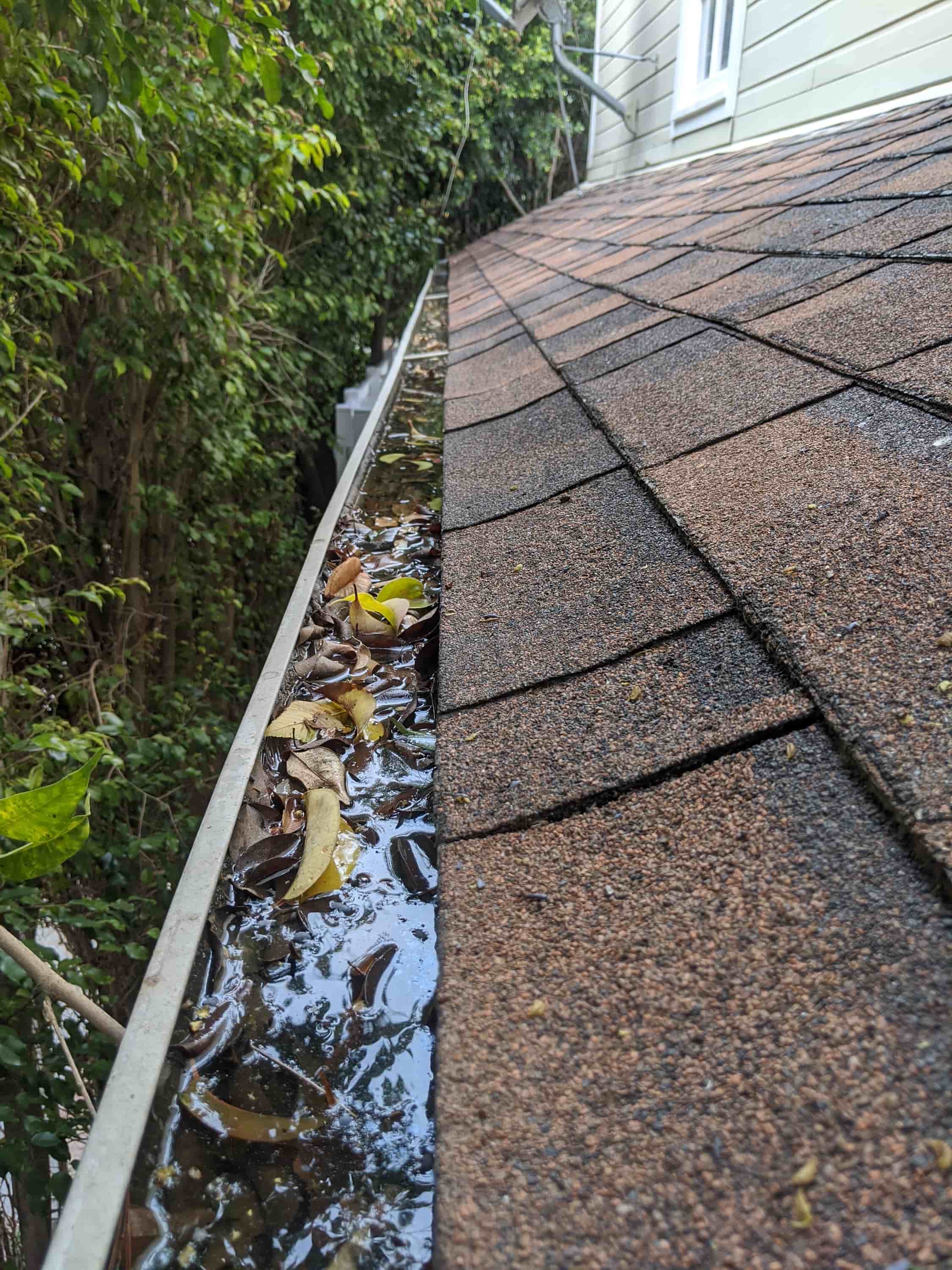 gutter and fascia cleaning equipment
