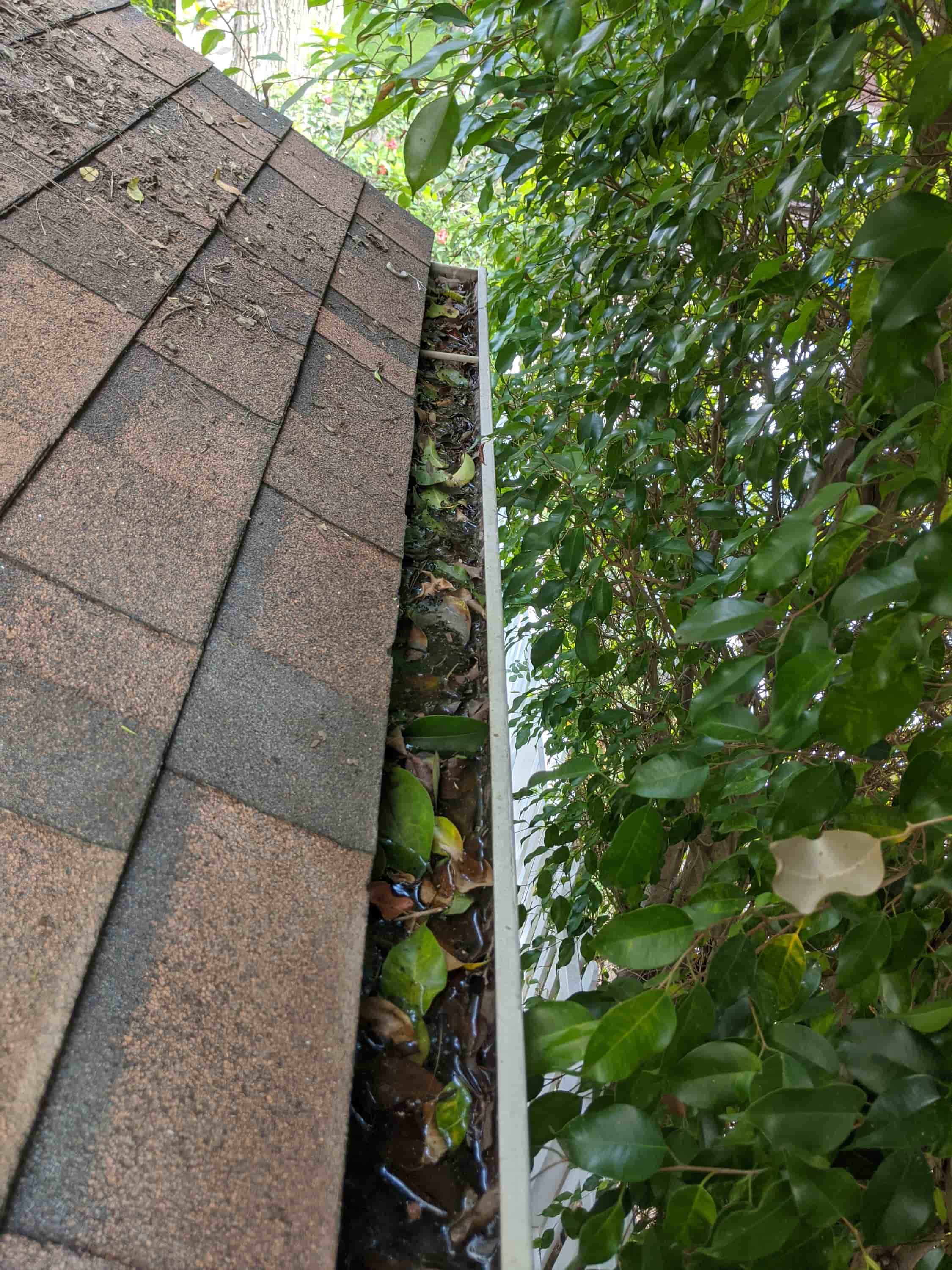 clean rain gutters from the ground