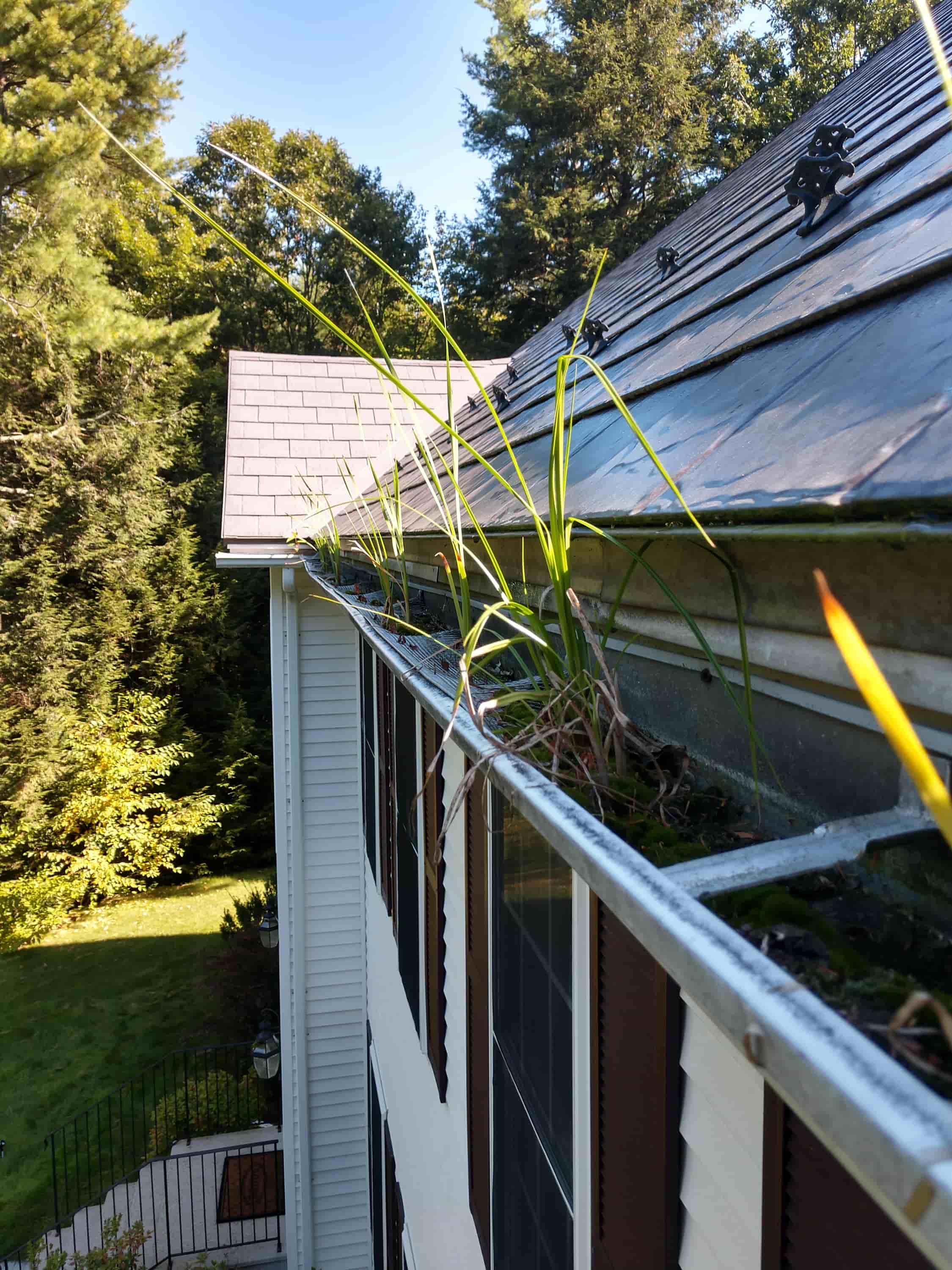 clean leaves off roof