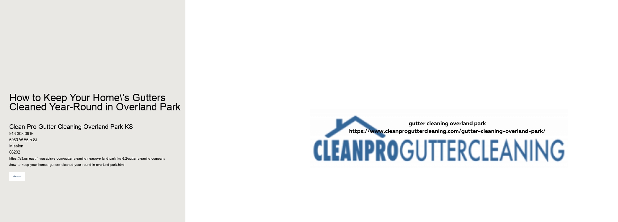 How to Keep Your Home's Gutters Cleaned Year-Round in Overland Park 