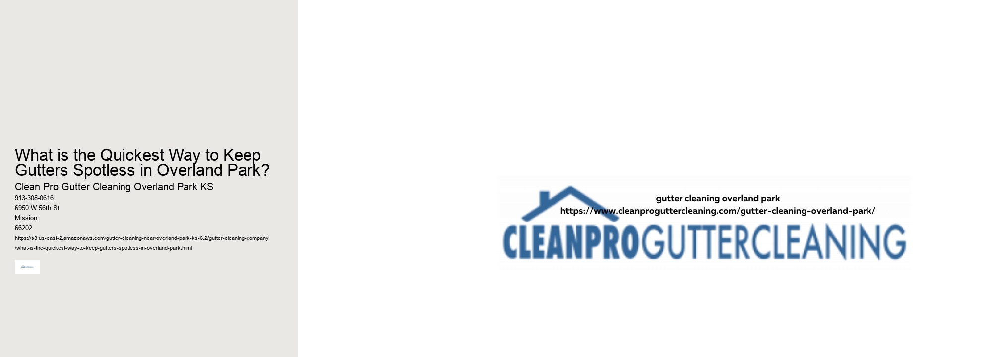 What is the Quickest Way to Keep Gutters Spotless in Overland Park? 