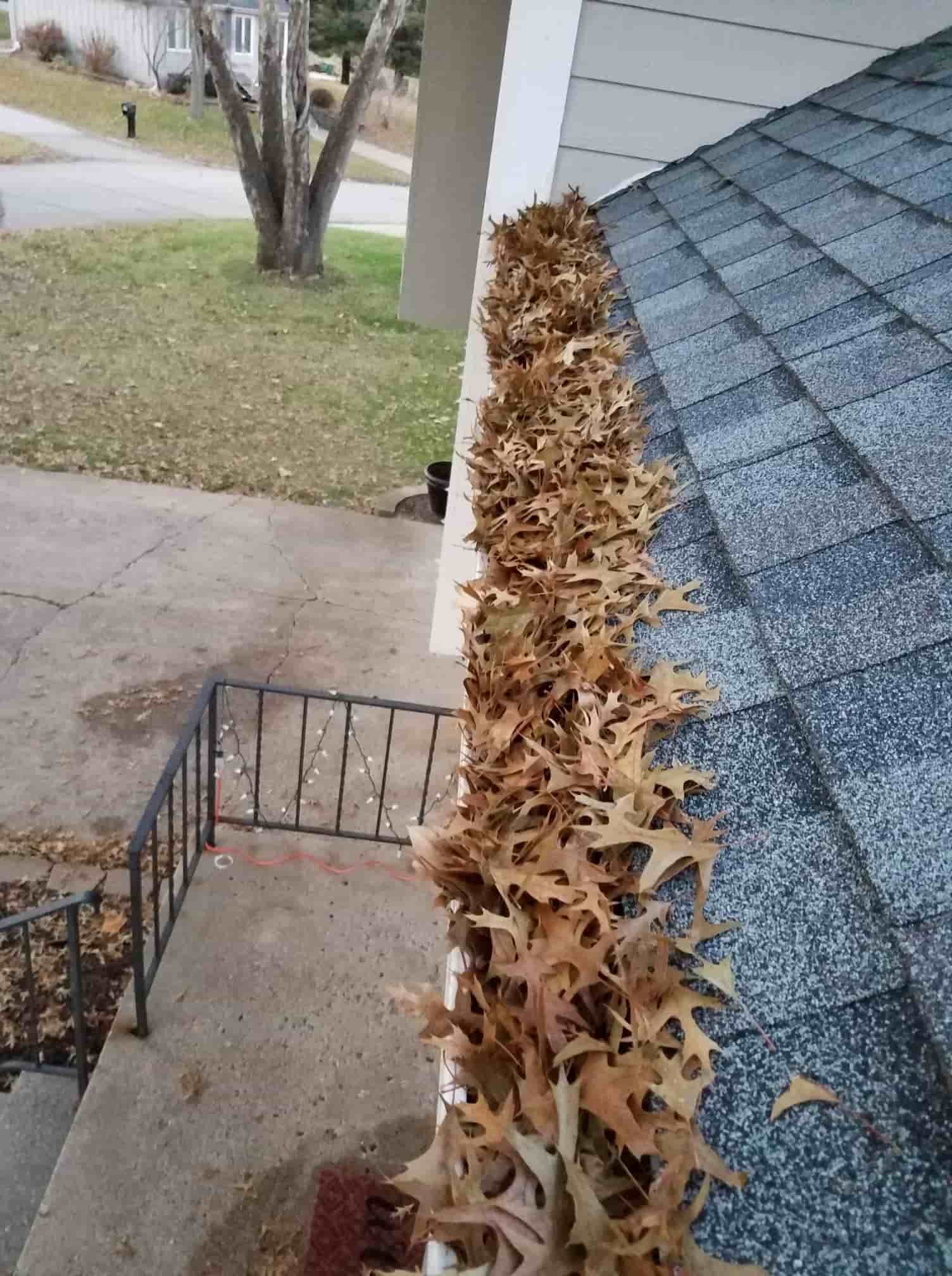 roof and gutter guys