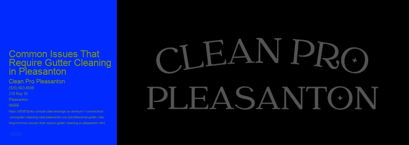 Common Issues That Require Gutter Cleaning in Pleasanton 