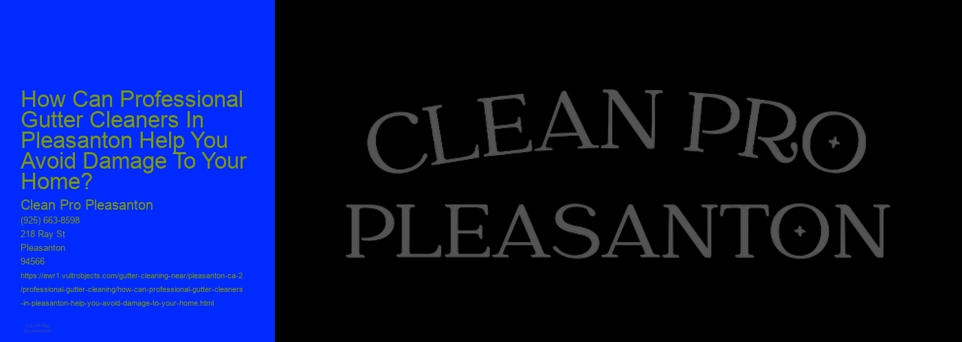 How Can Professional Gutter Cleaners In Pleasanton Help You Avoid Damage To Your Home?
