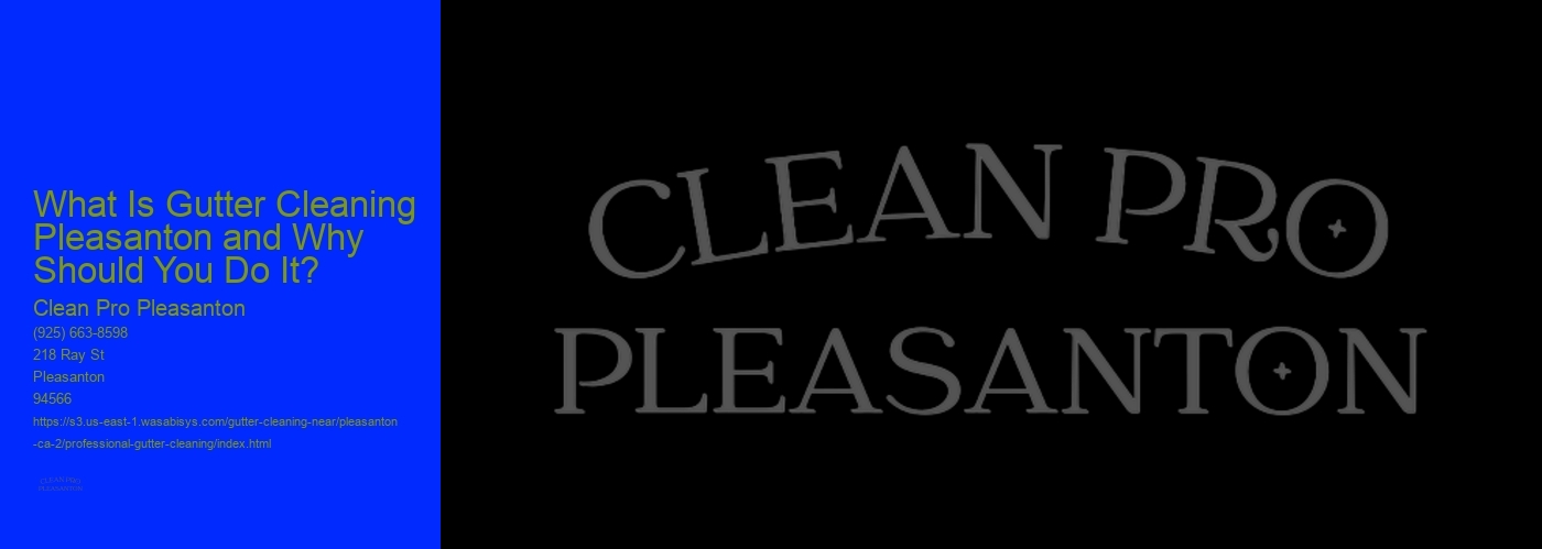 What Is Gutter Cleaning Pleasanton and Why Should You Do It? 