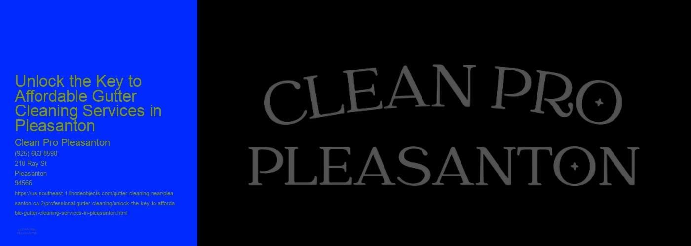 Unlock the Key to Affordable Gutter Cleaning Services in Pleasanton