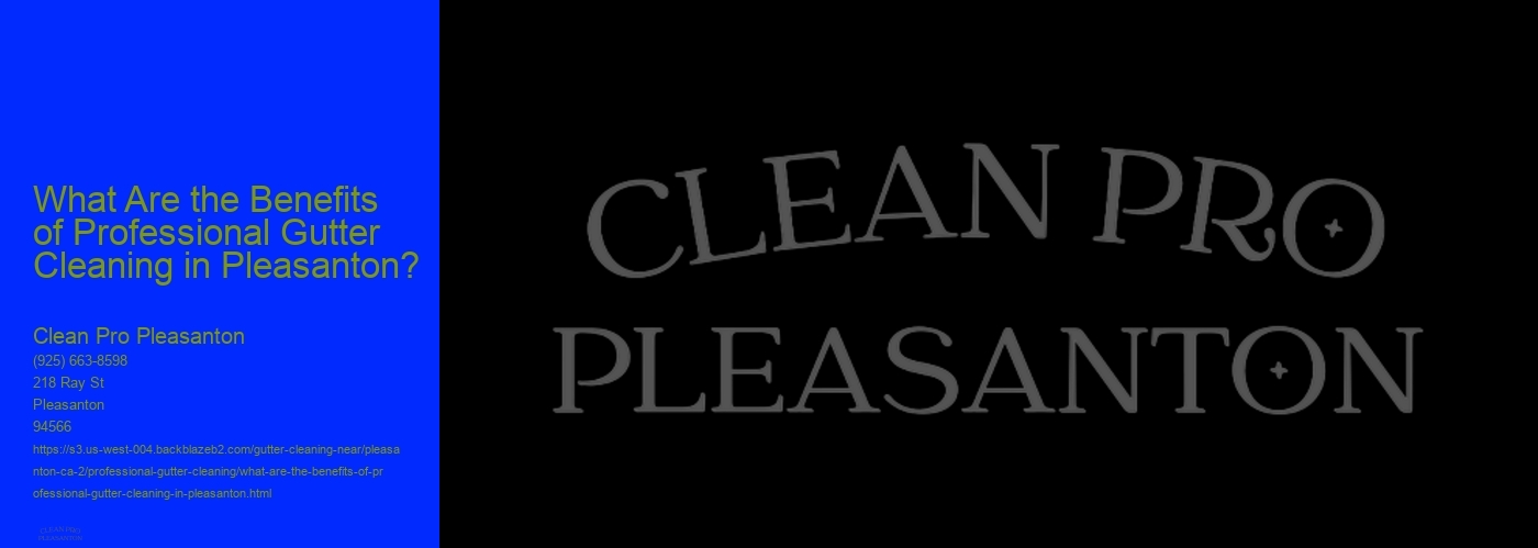 What Are the Benefits of Professional Gutter Cleaning in Pleasanton? 