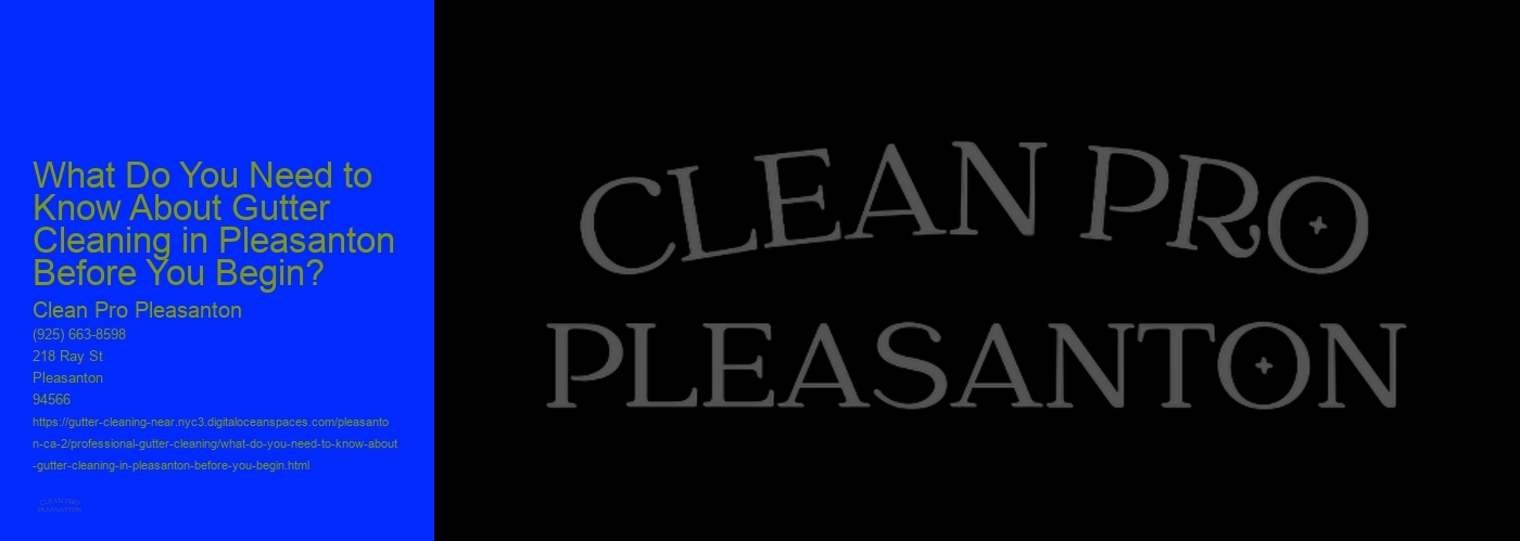 What Do You Need to Know About Gutter Cleaning in Pleasanton Before You Begin? 