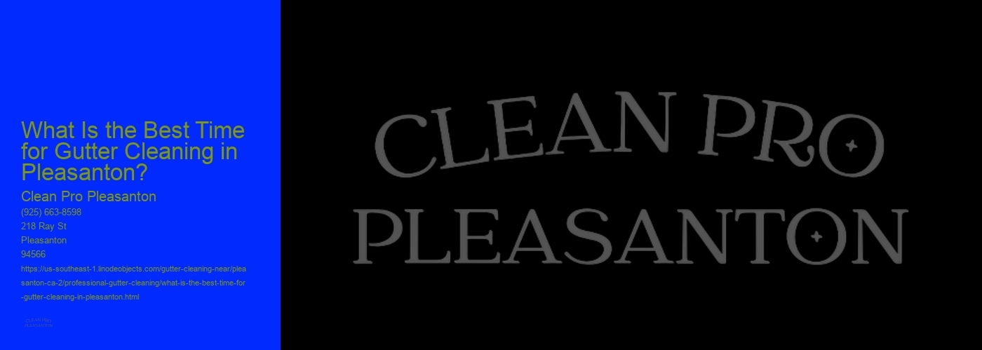 What Is the Best Time for Gutter Cleaning in Pleasanton? 