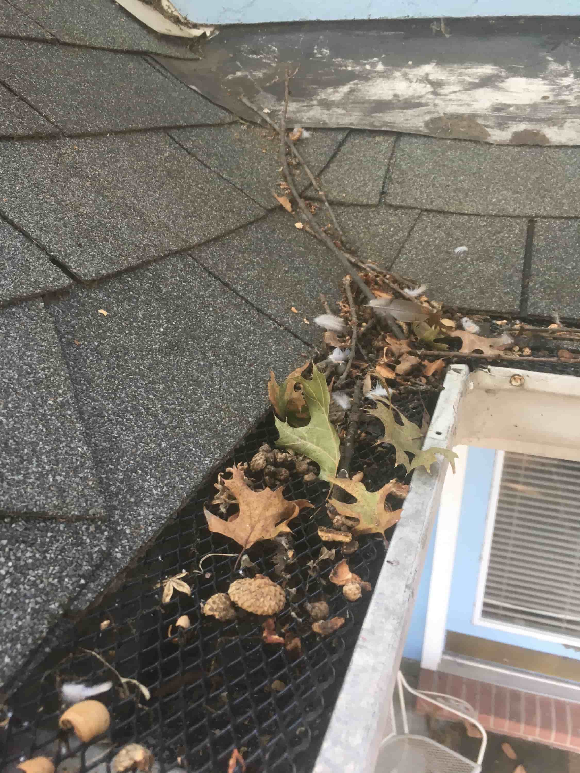 how to clean gutter drains