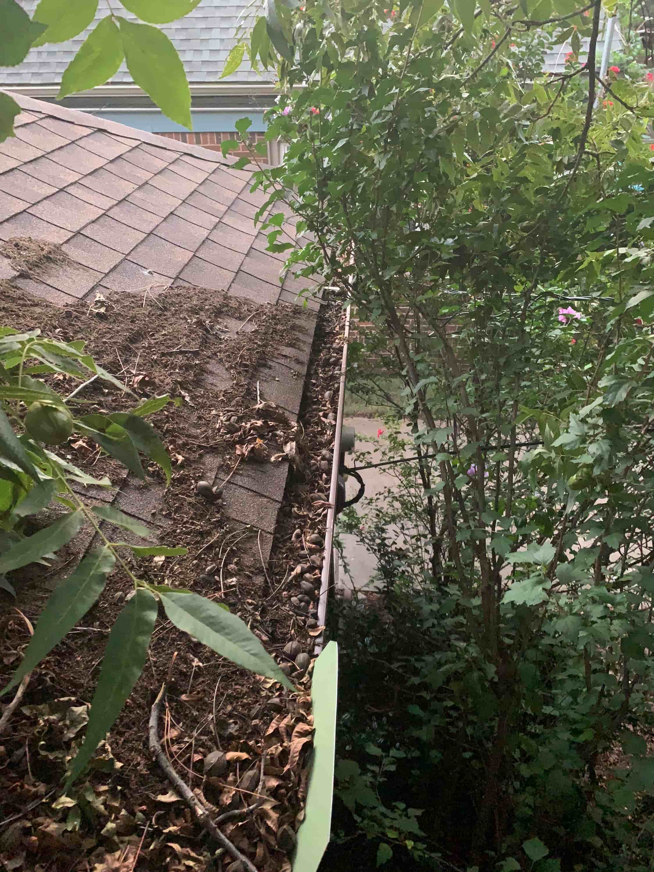 house gutter cleaning