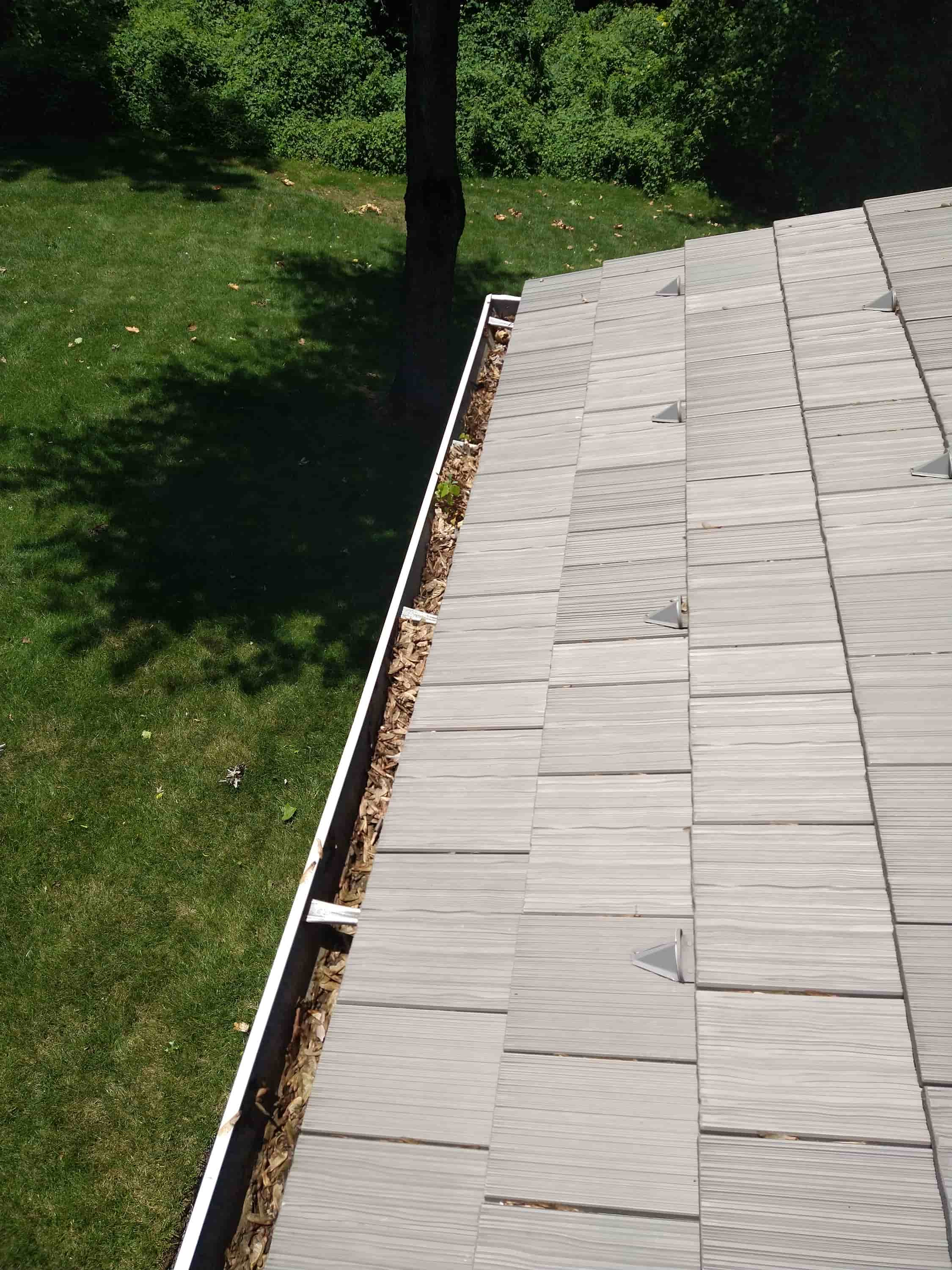 professional gutter cleaning