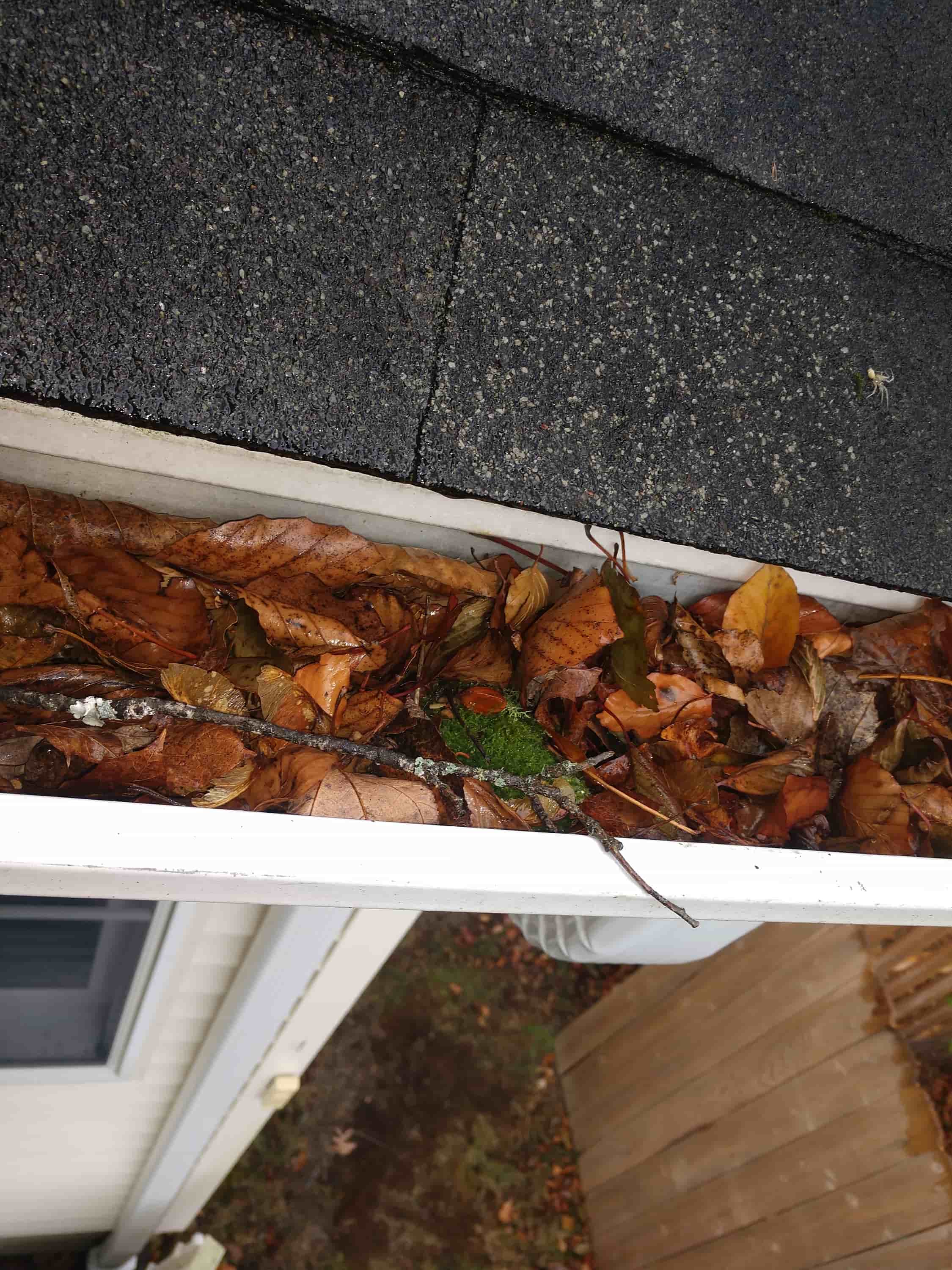 average cost to have gutters cleaned