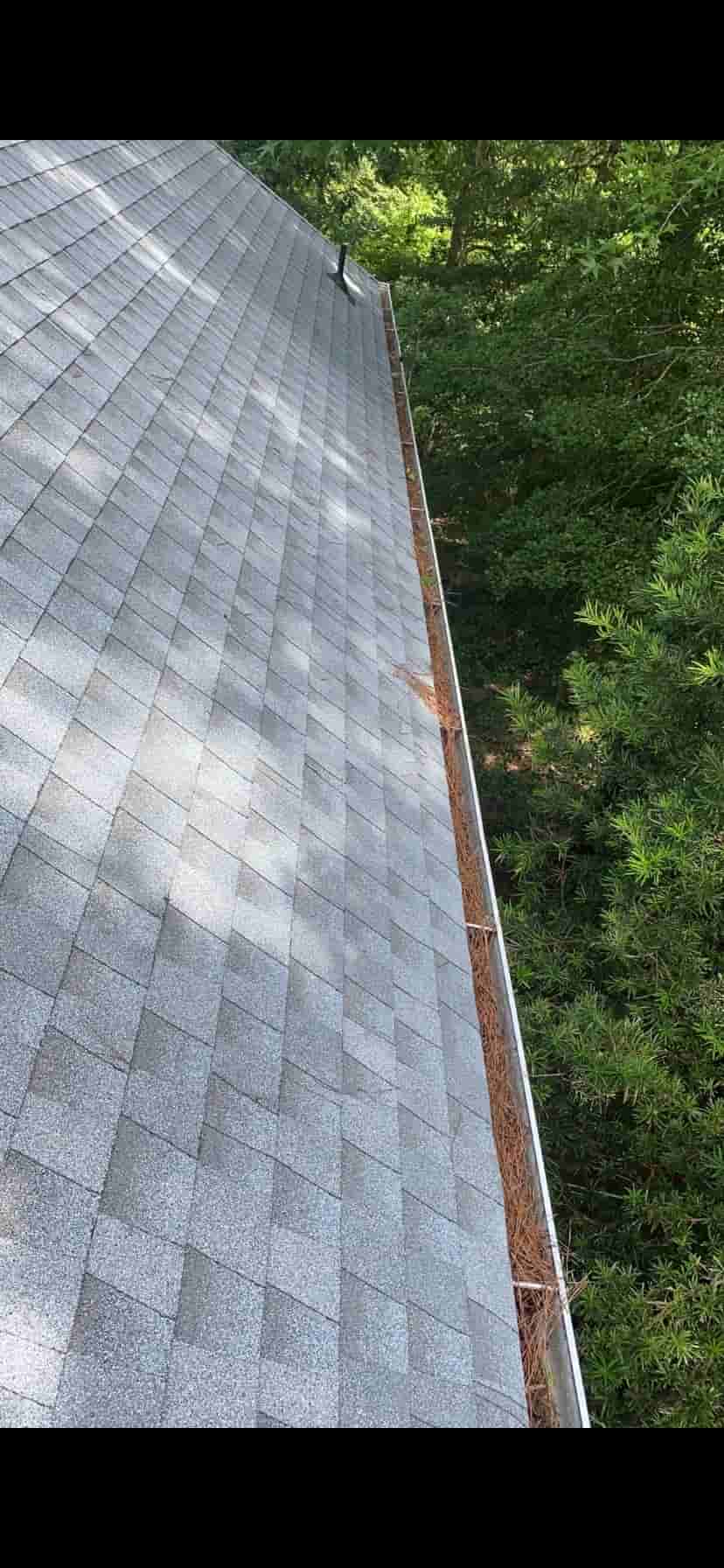 gutter cleaning 22192