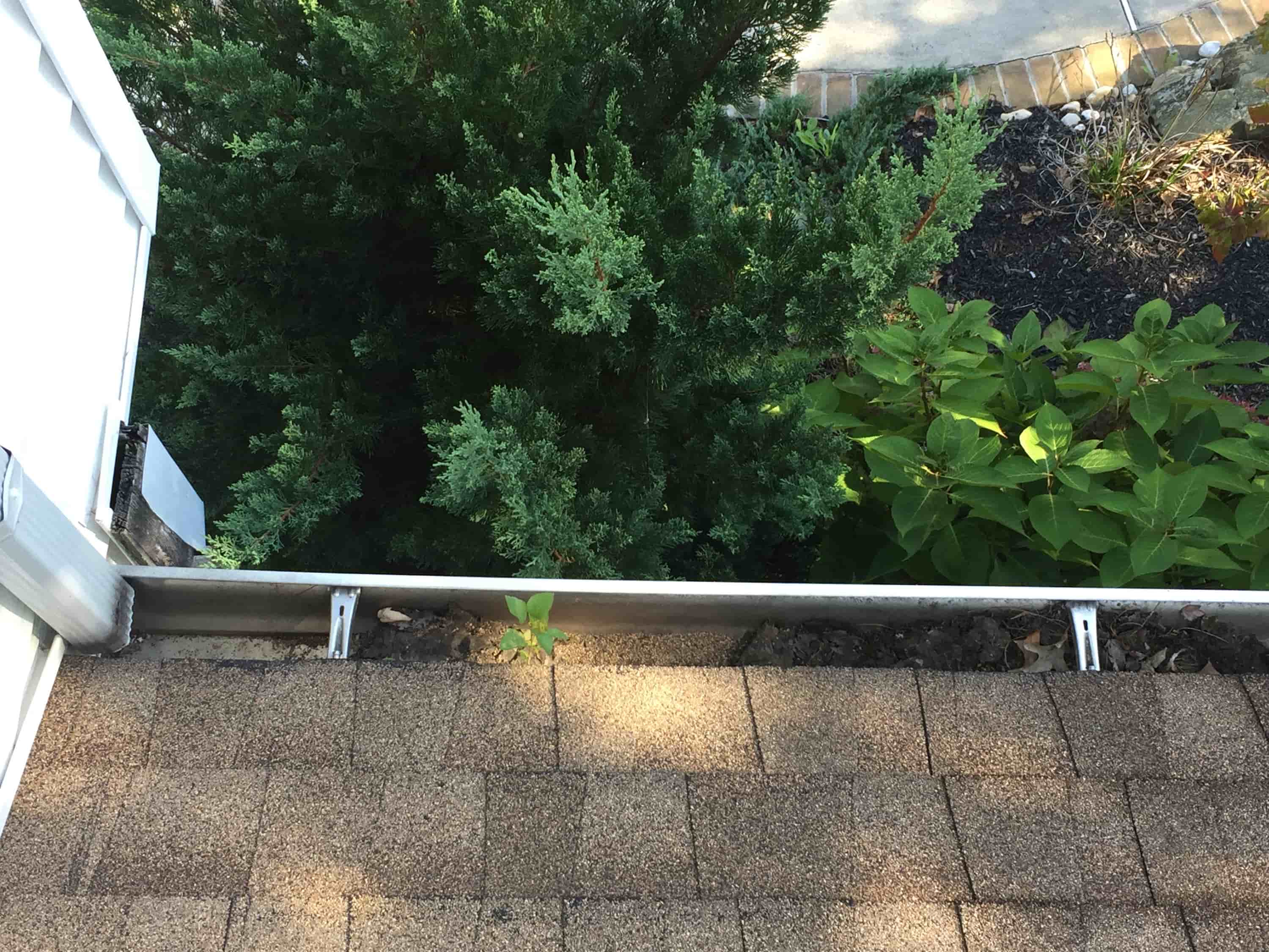 when to clean gutters
