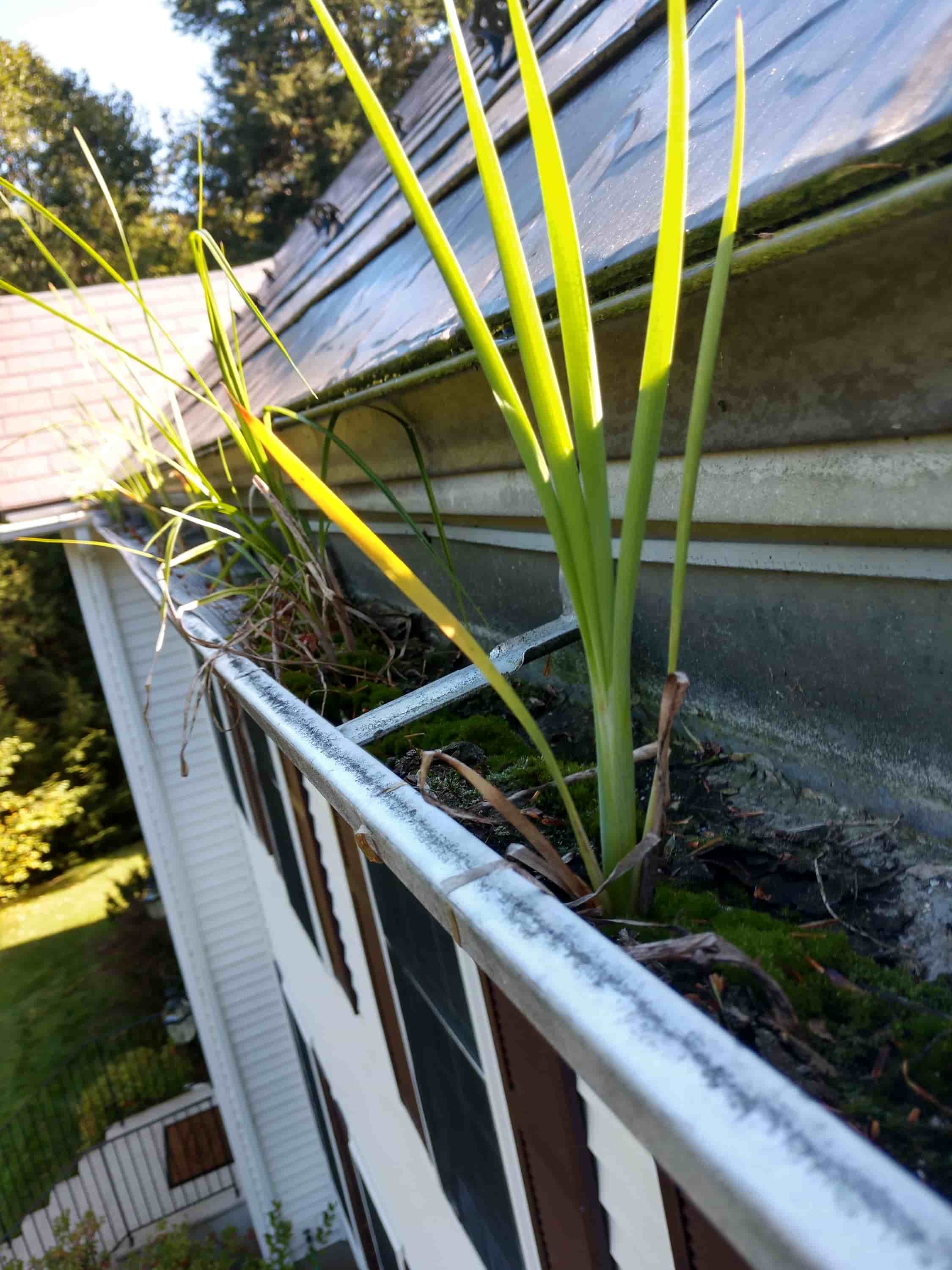 cleaning gutters from the ground