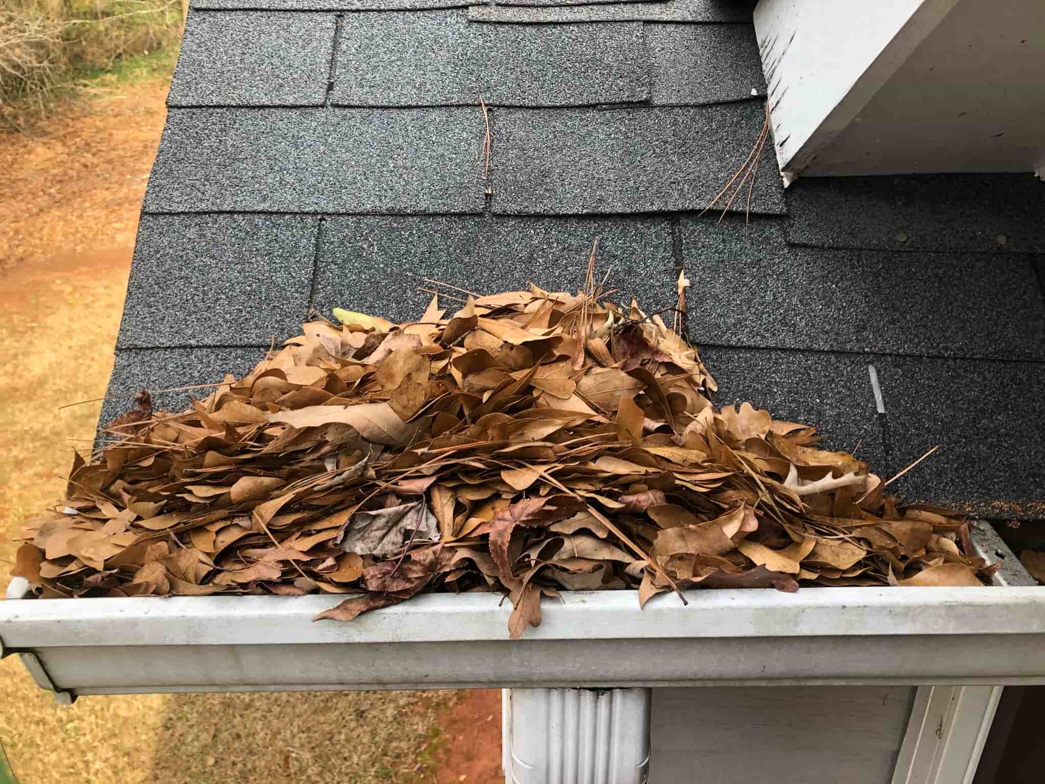 gutters cleaned