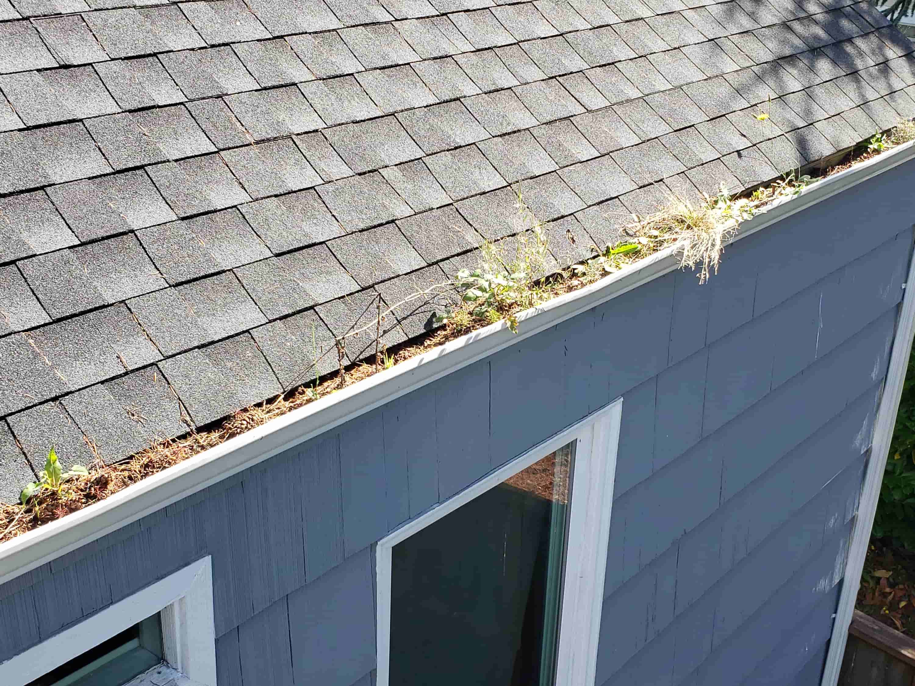 eavestrough cleaning services