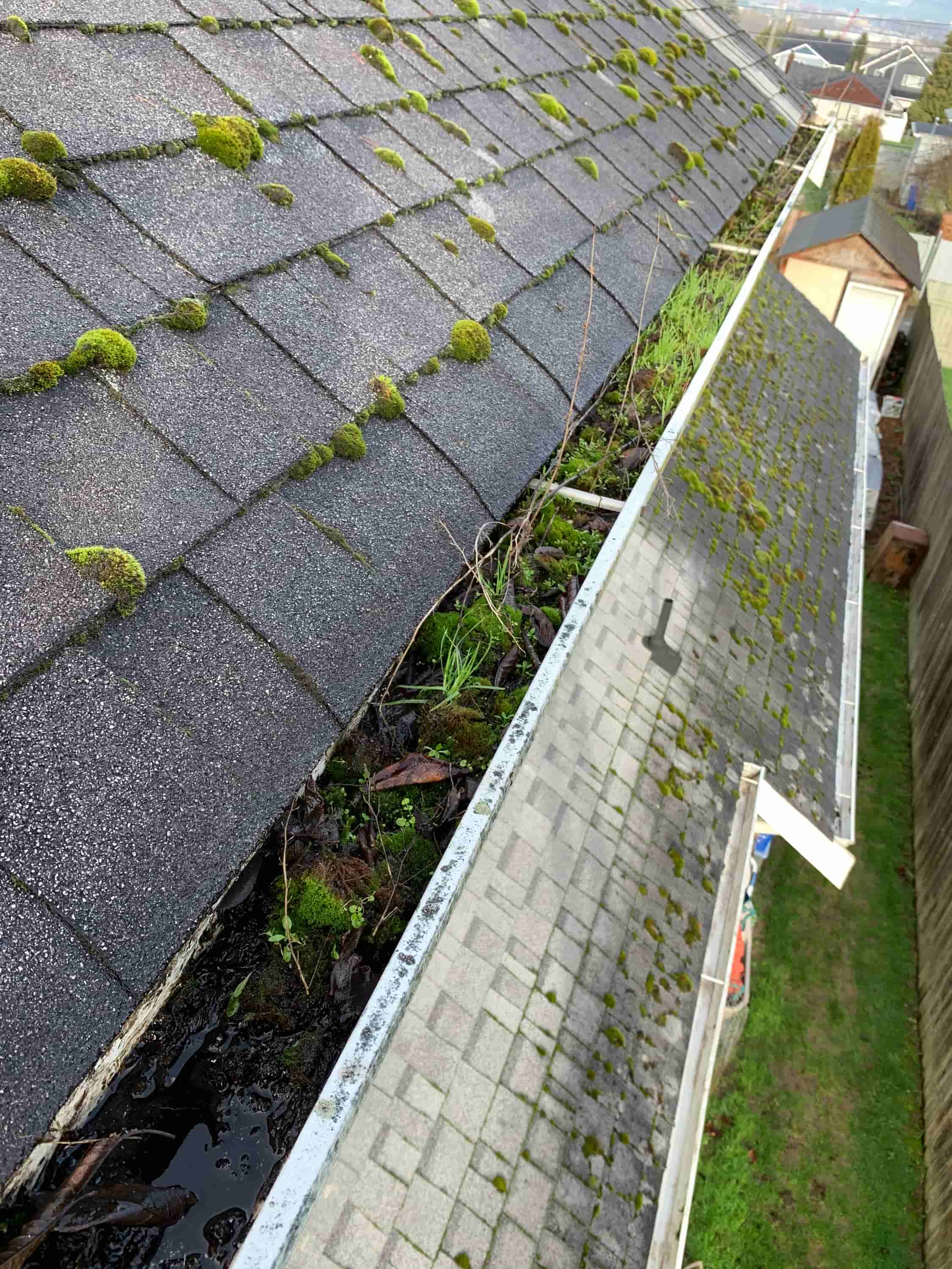 clean out gutter drains