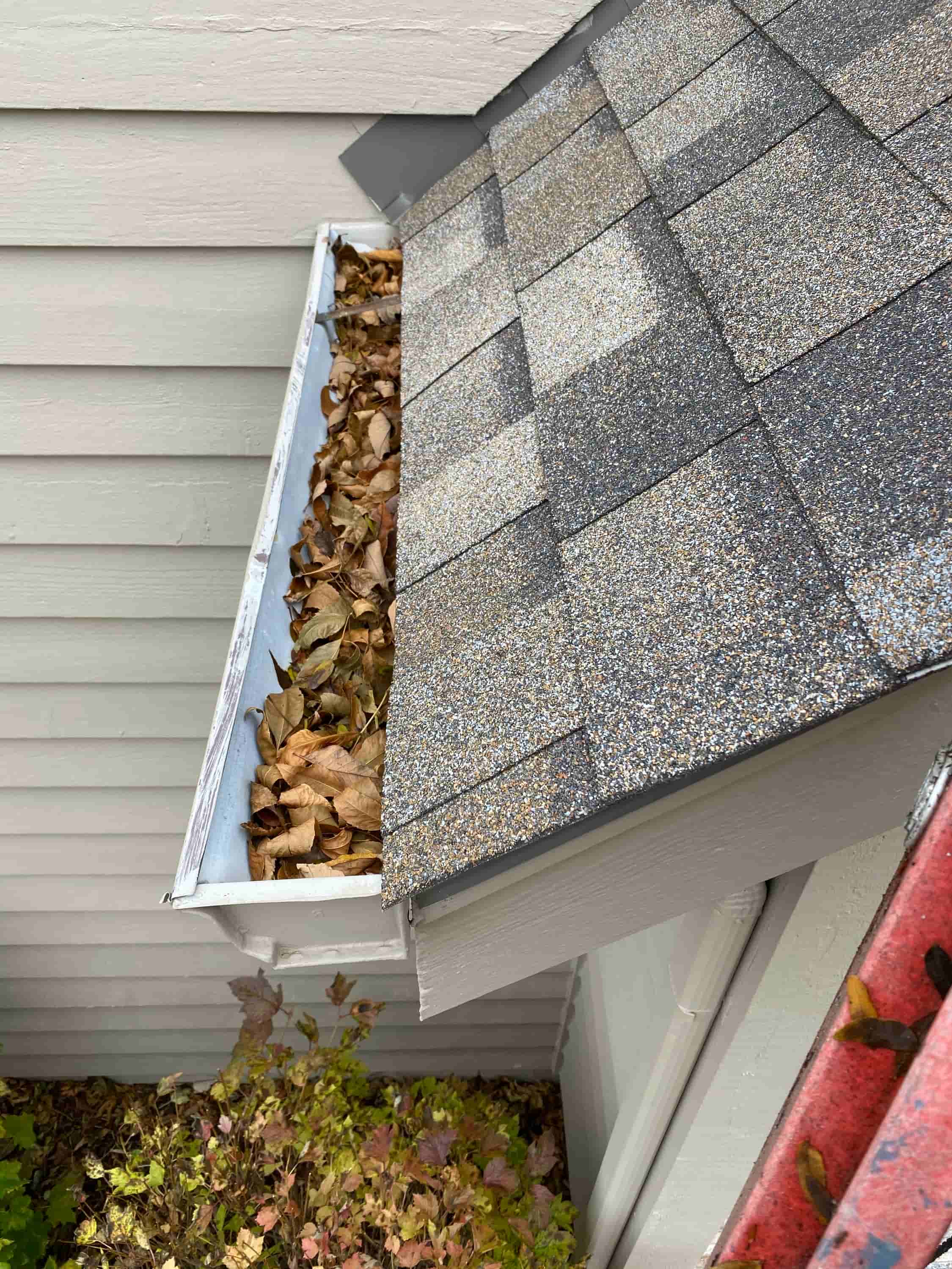 gutter cleaning companies near me