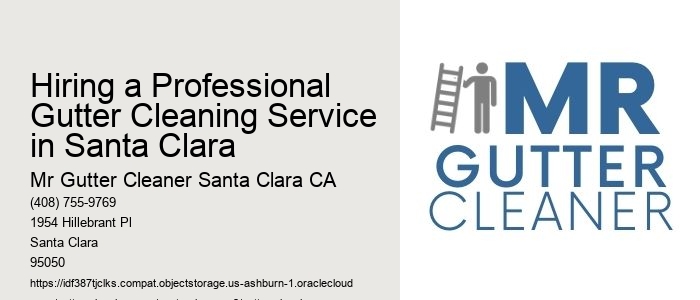 Hiring a Professional Gutter Cleaning Service in Santa Clara