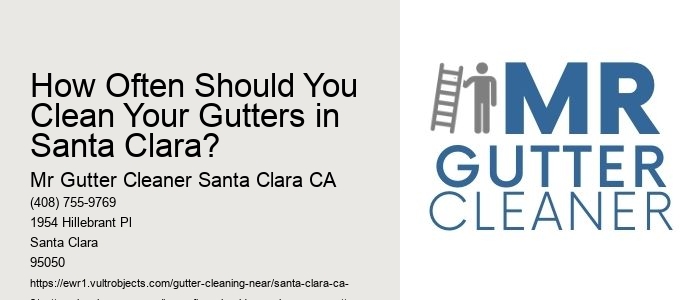 How Often Should You Clean Your Gutters in Santa Clara?