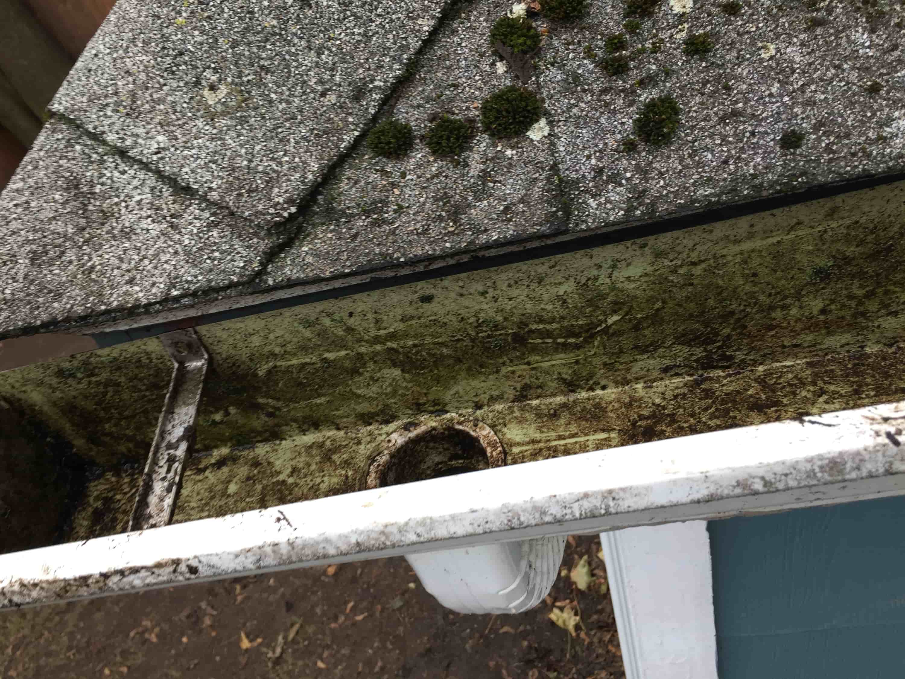 cost to get gutters cleaned