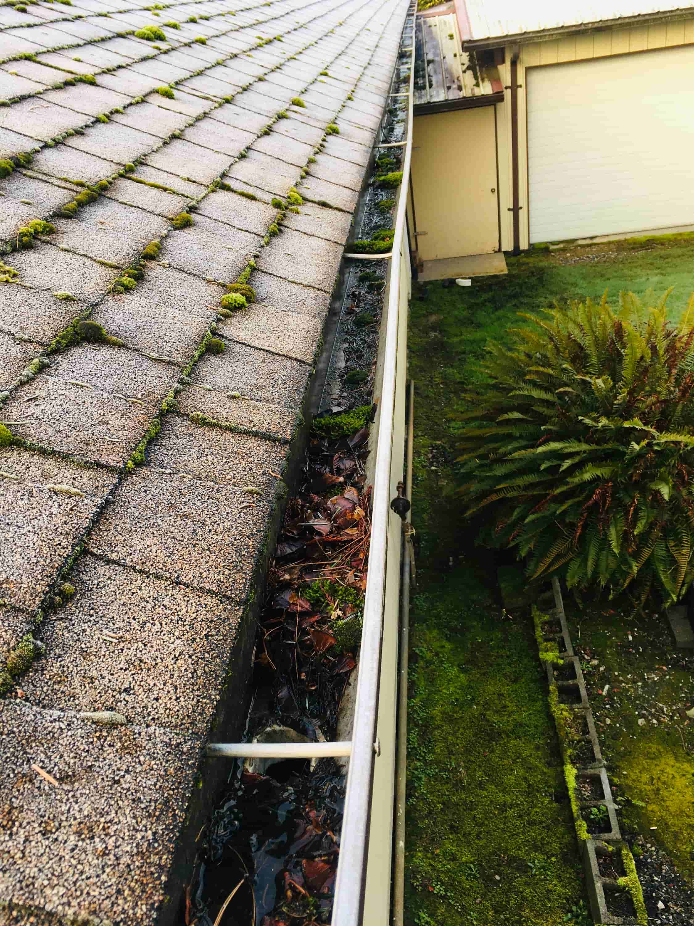gutter cleaning services prices