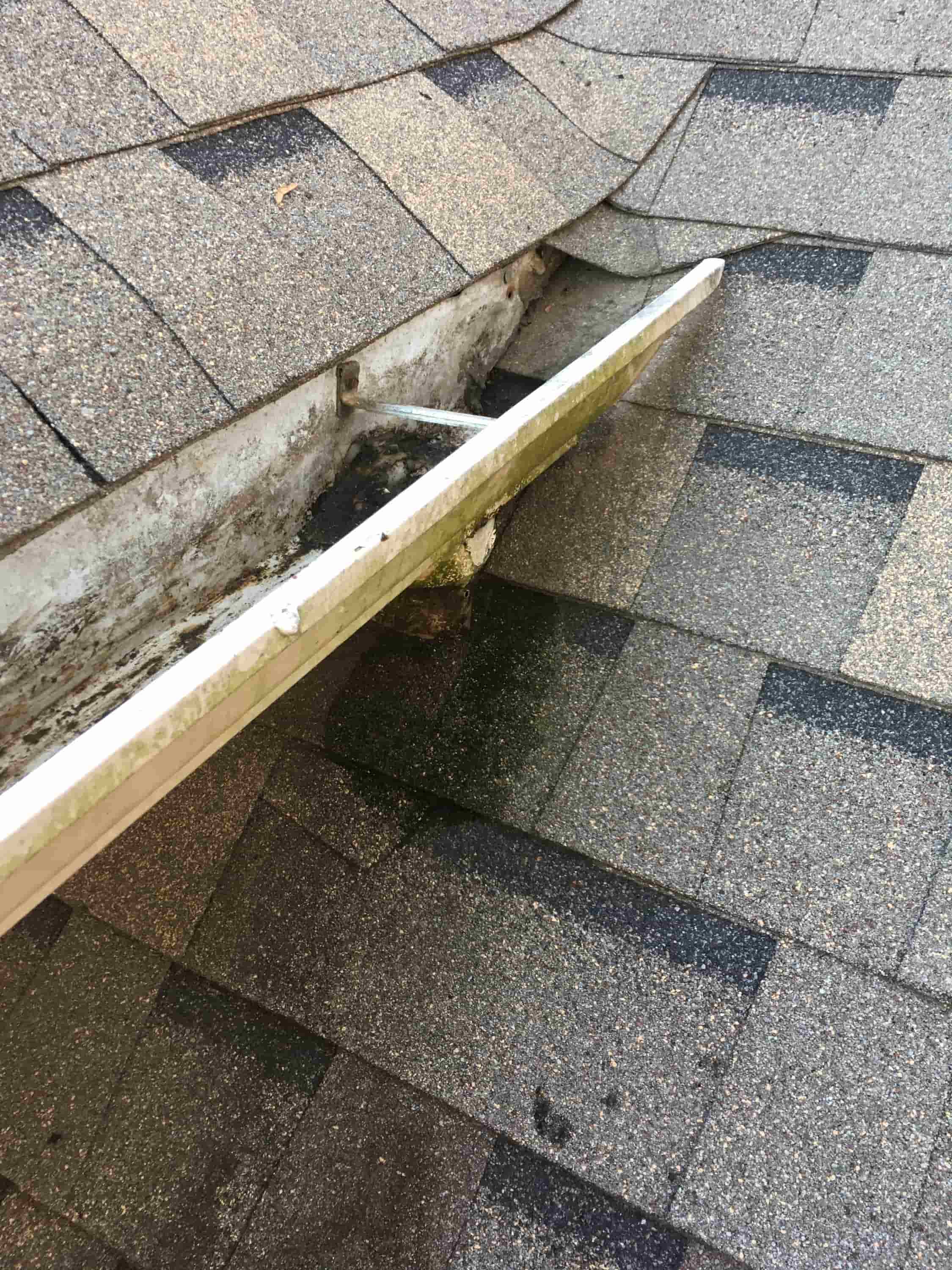 how much for a professional gutter cleaning